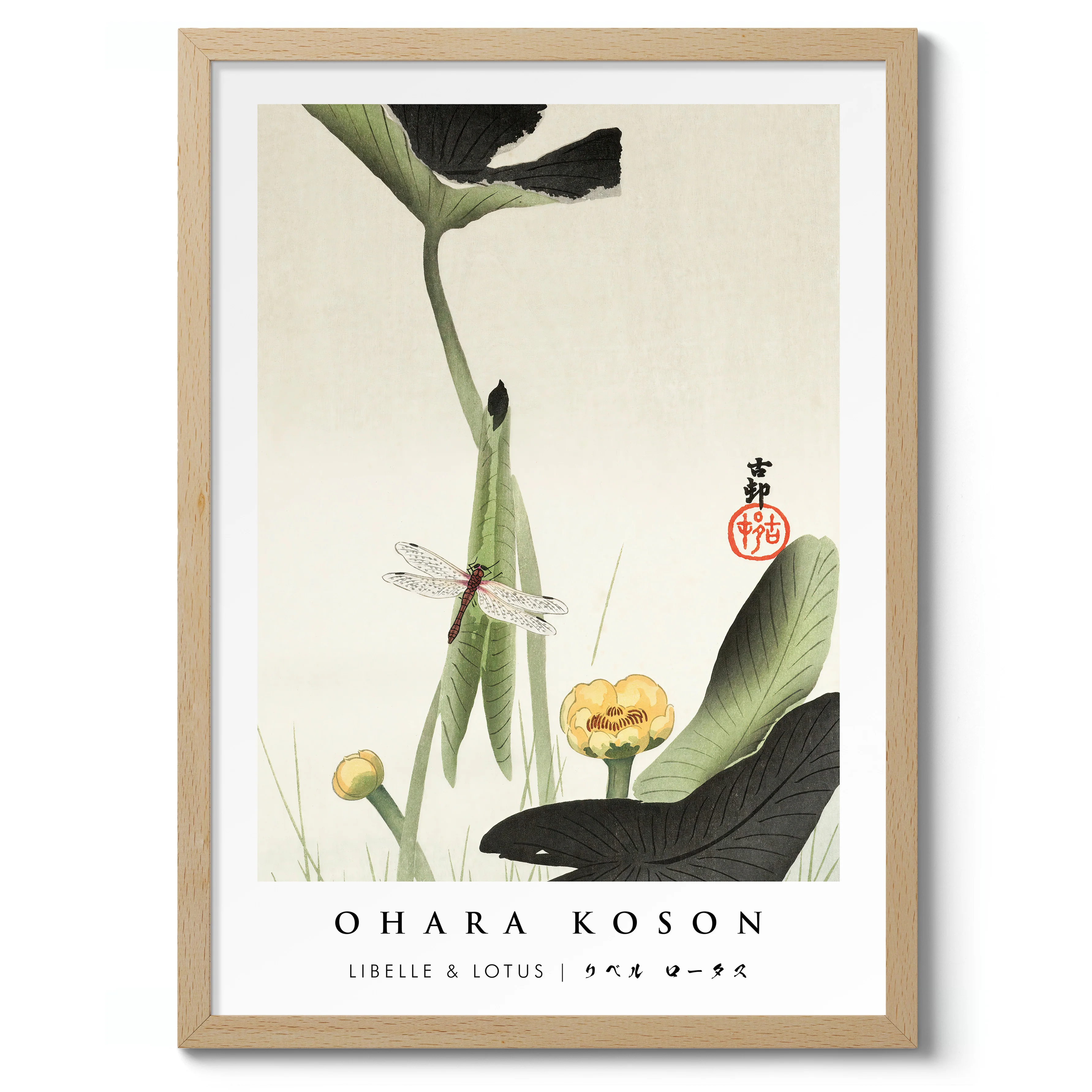 Libelle & Lotus - Image 3