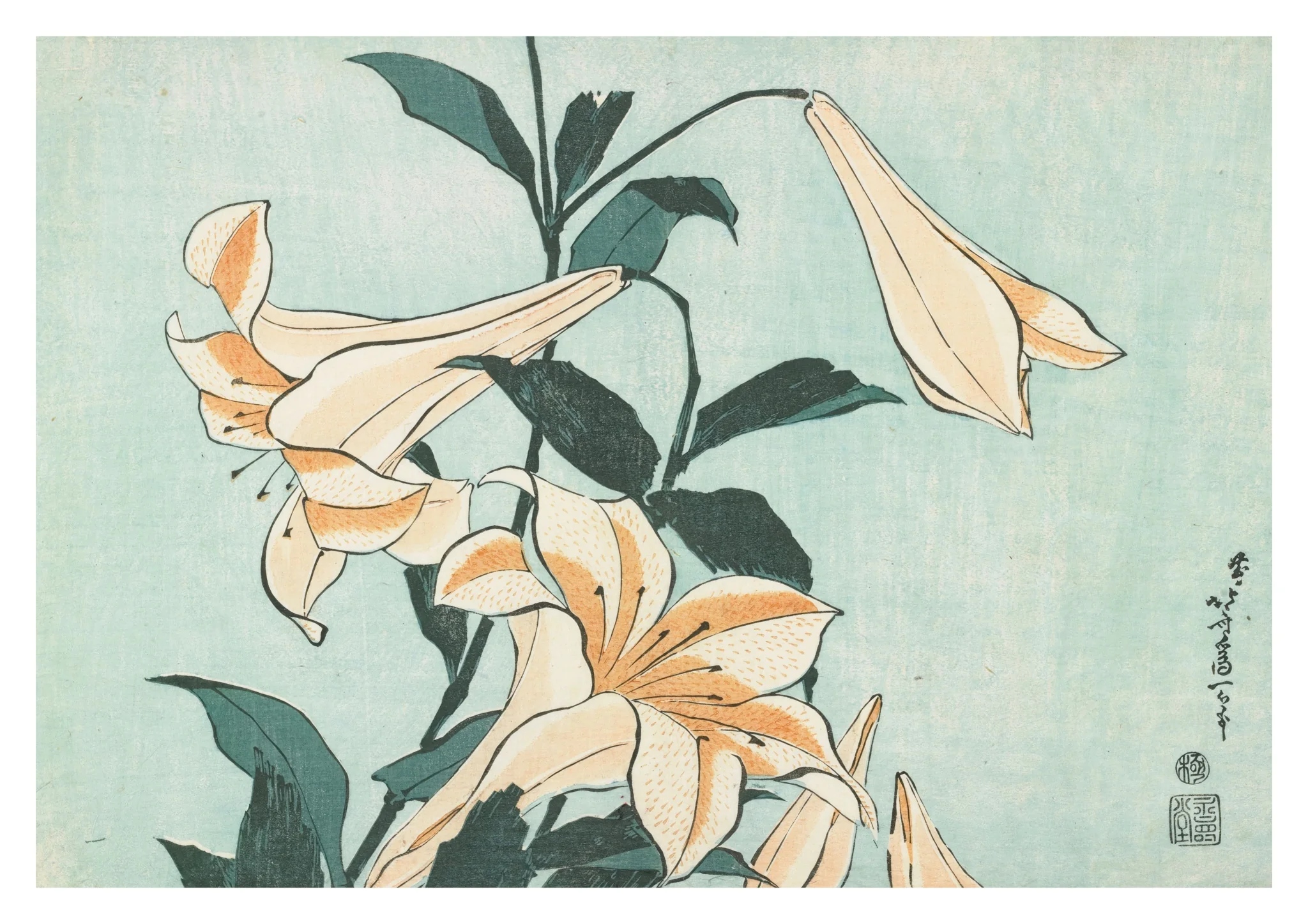 Lilies