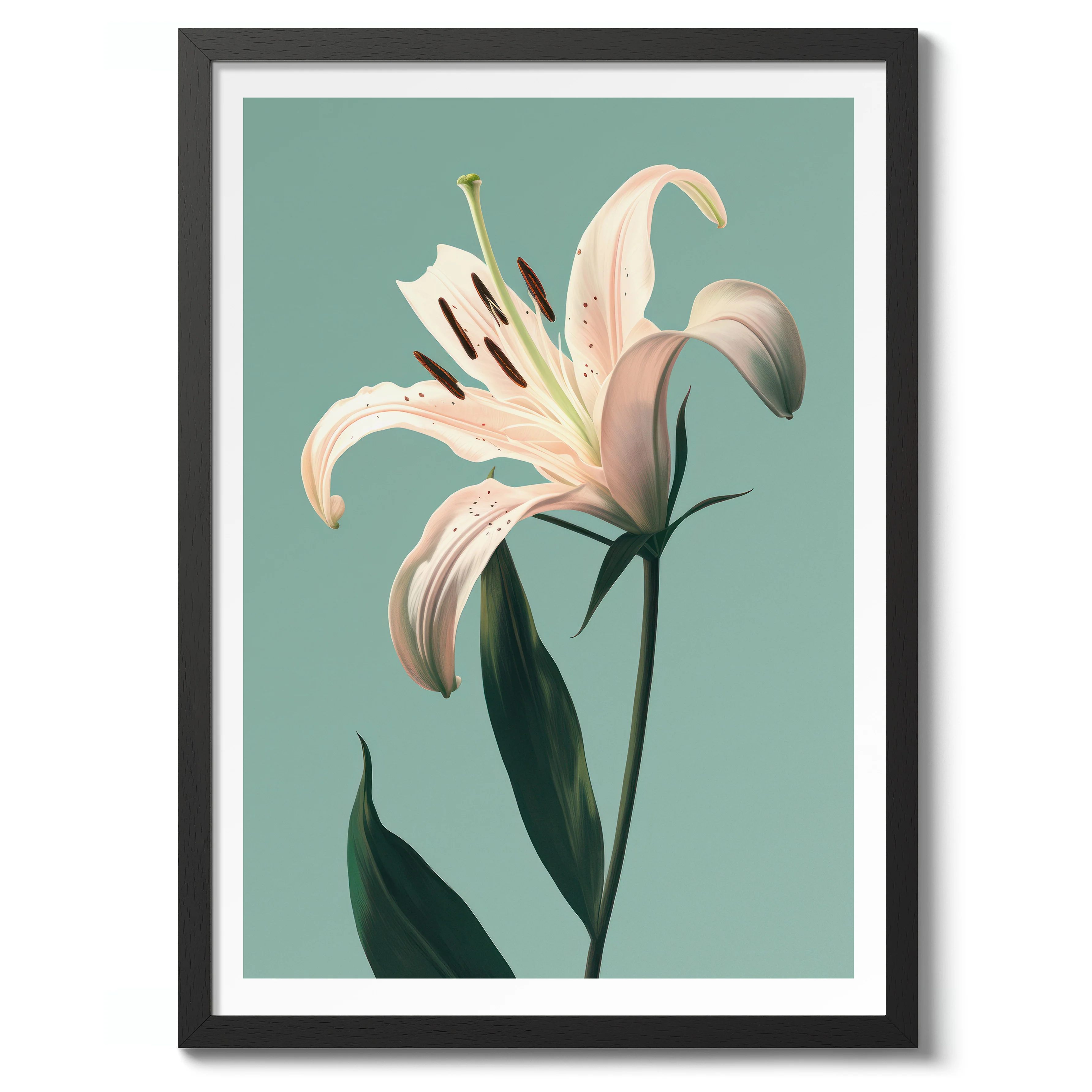 Lily - Image 2
