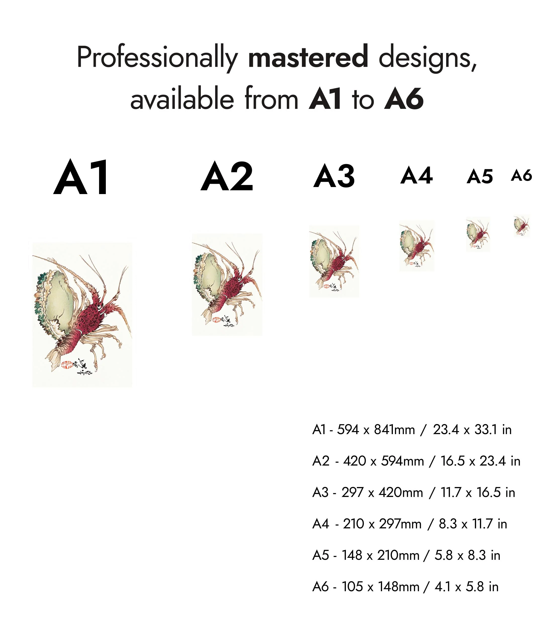 Lobster & Abalone - Image 8
