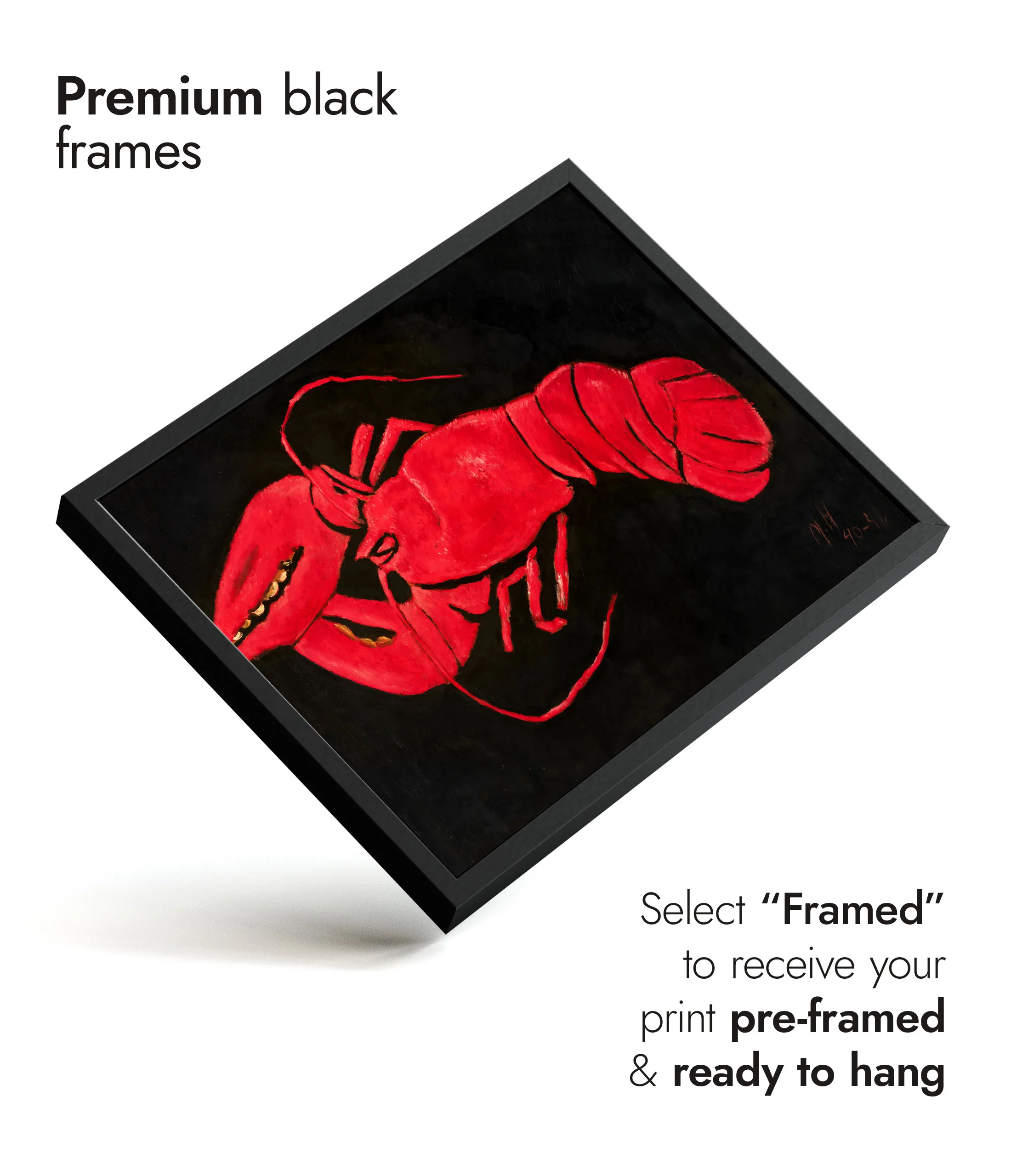 Lobster on Black Background - Image 7