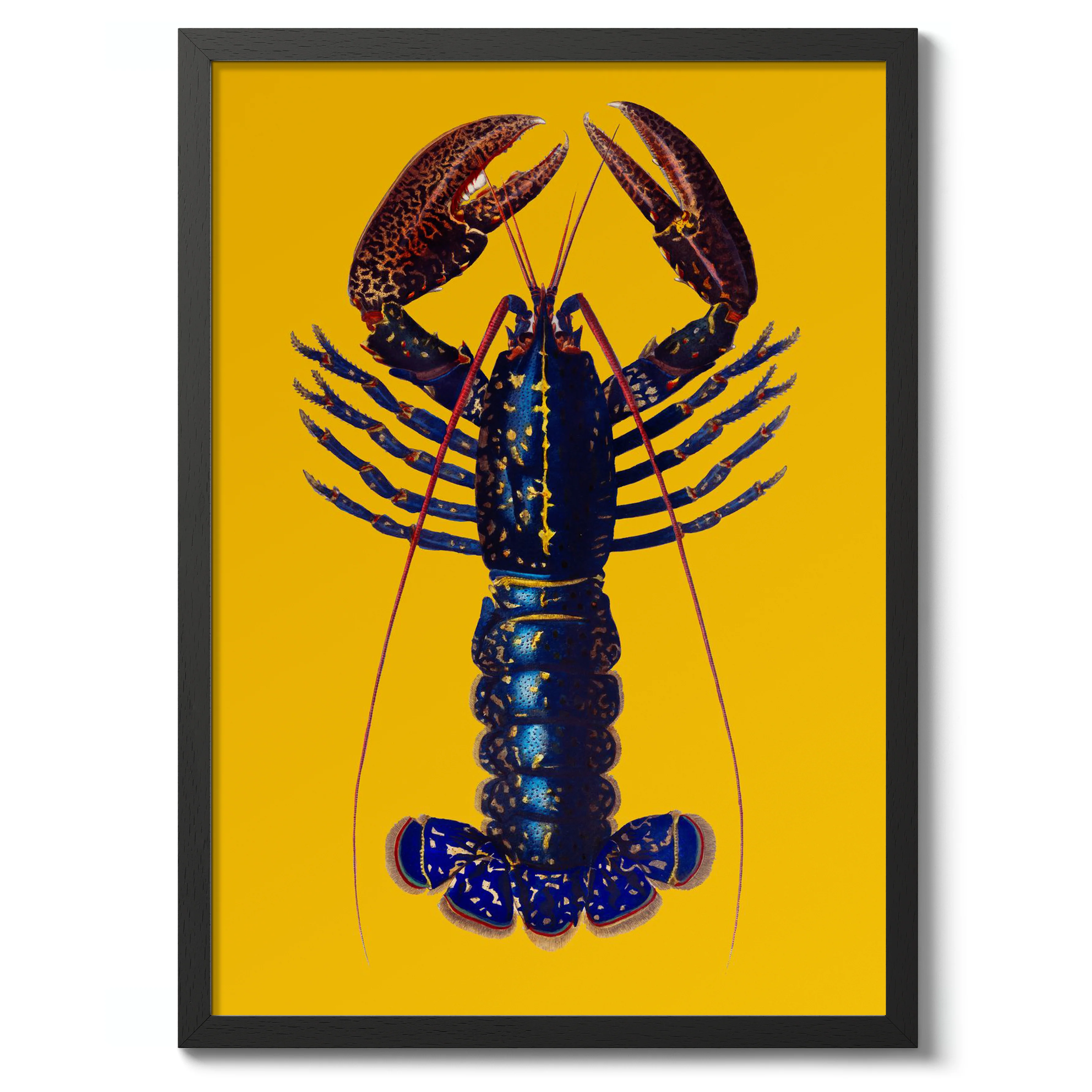 Lobster on Yellow - Image 2