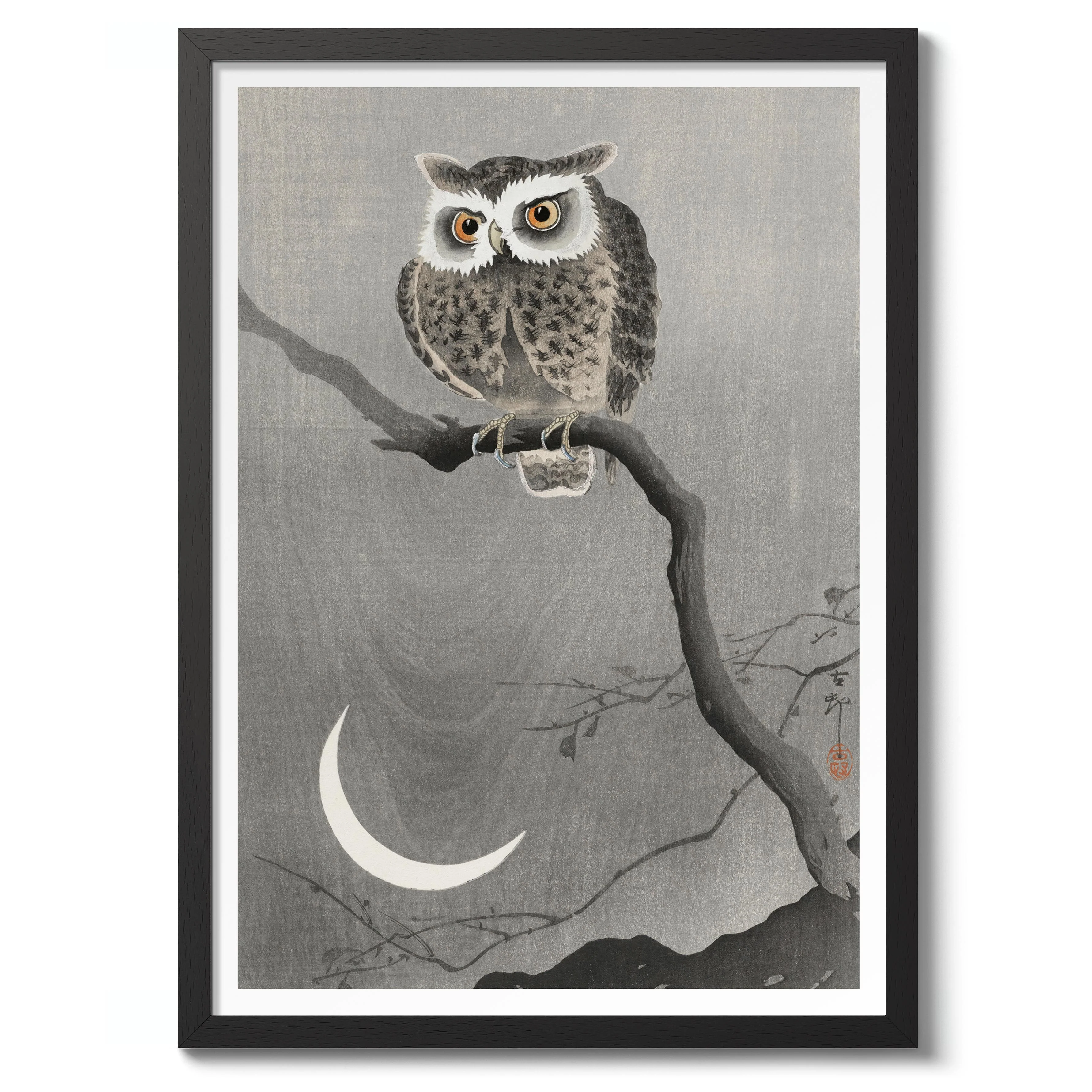 Long-eared Owl on Bare Tree Branch - Image 2