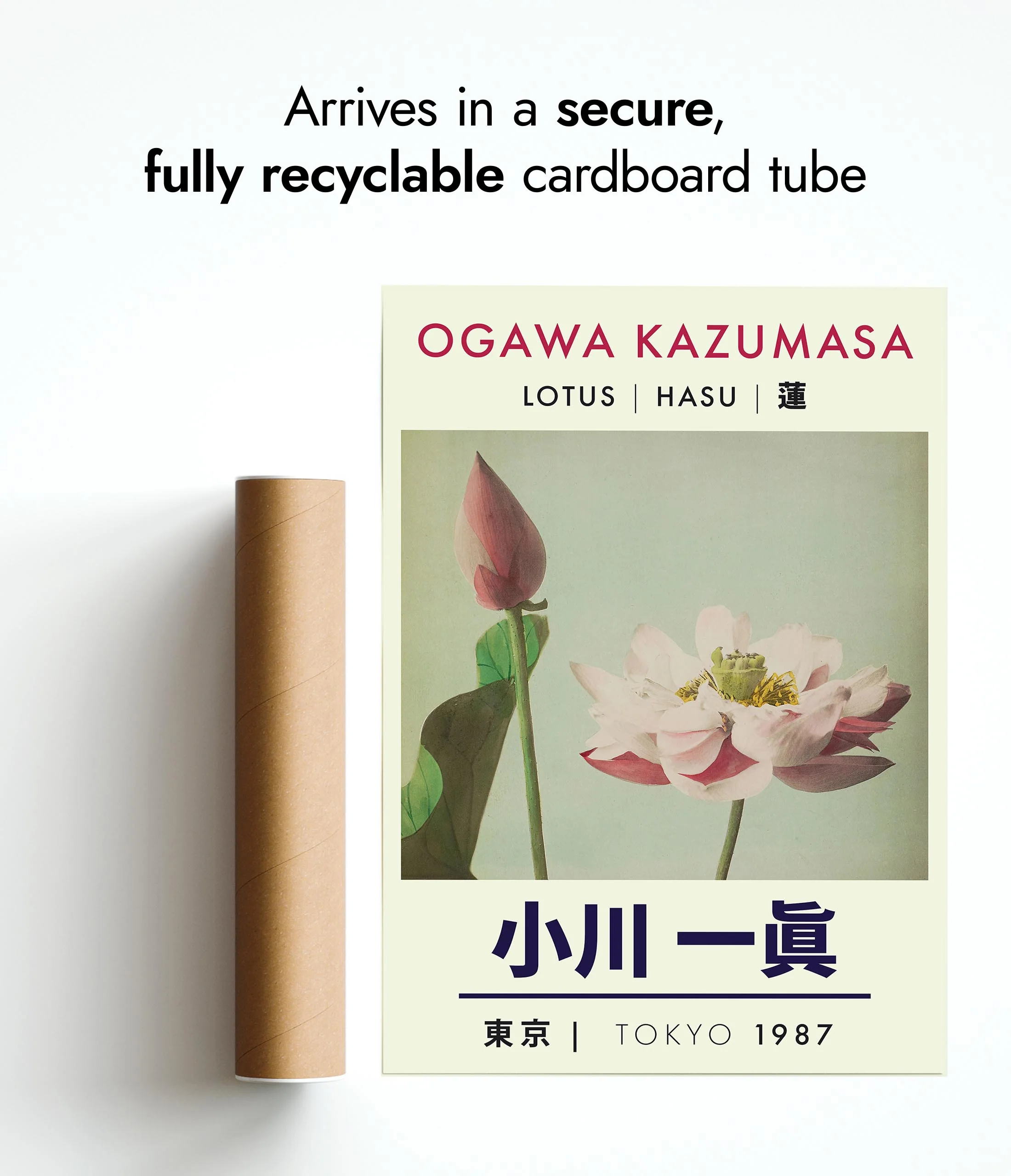 Lotus - Image 9