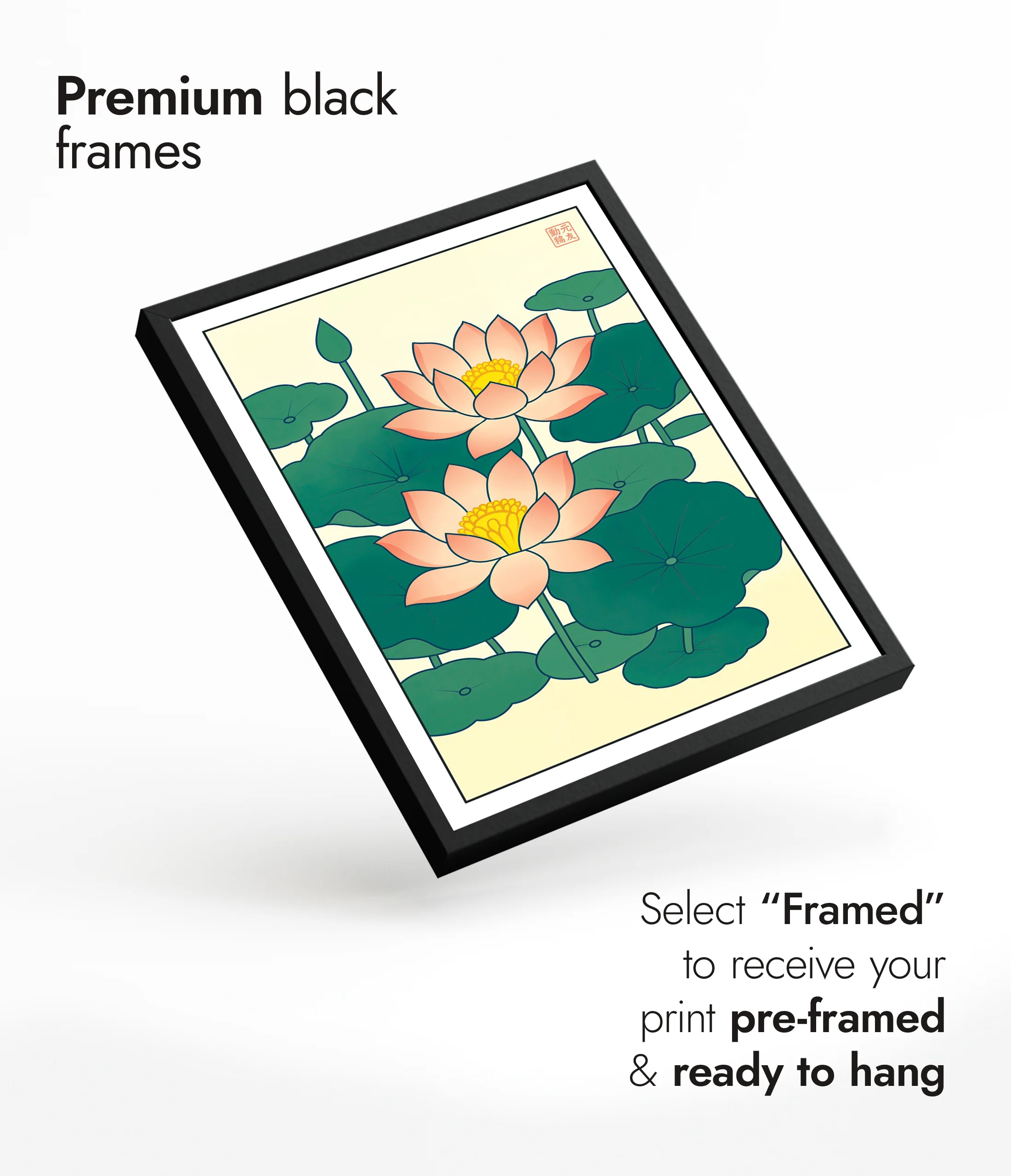 Lotus Flowers - Image 7