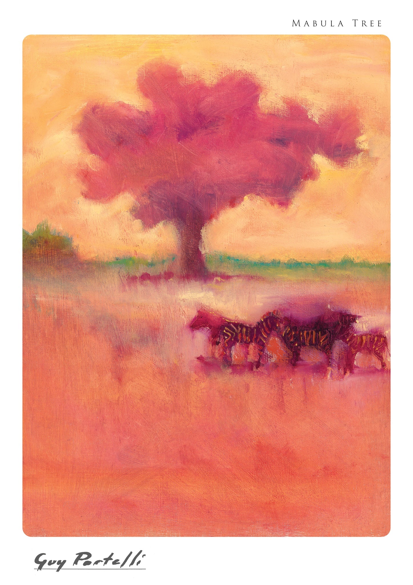Mabula Tree