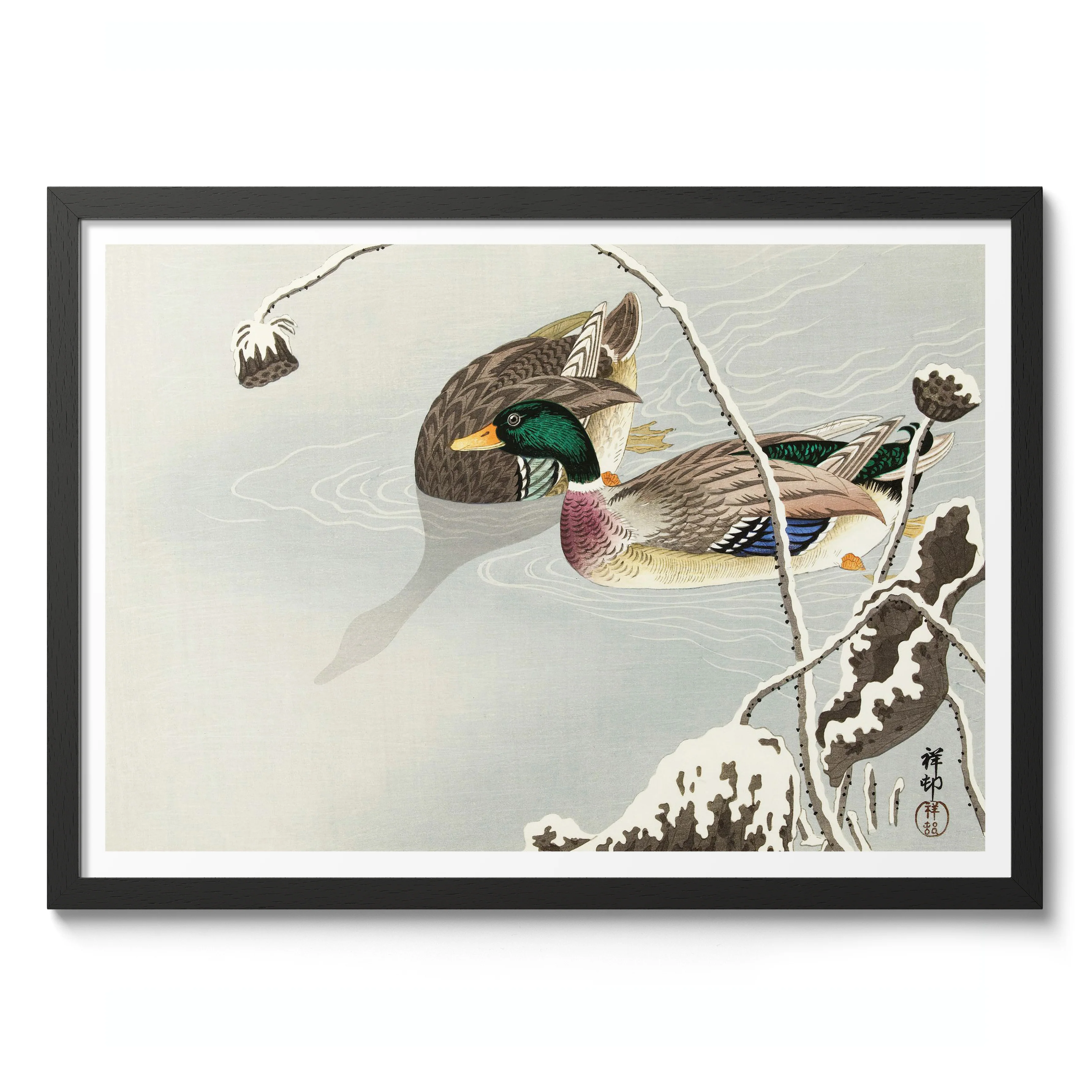Mallards - Image 2