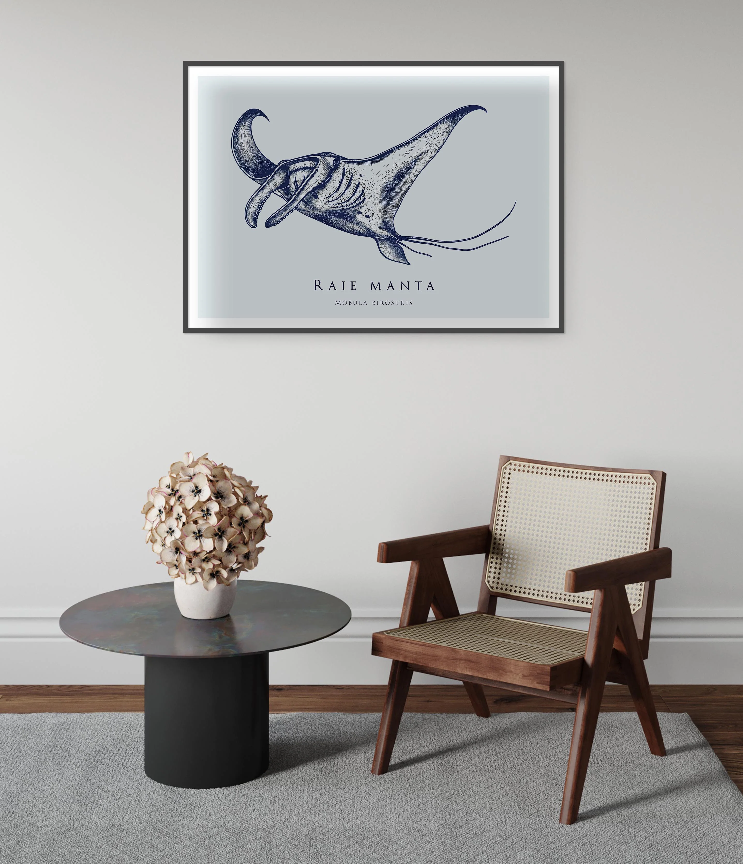 Manta Ray - Image 5