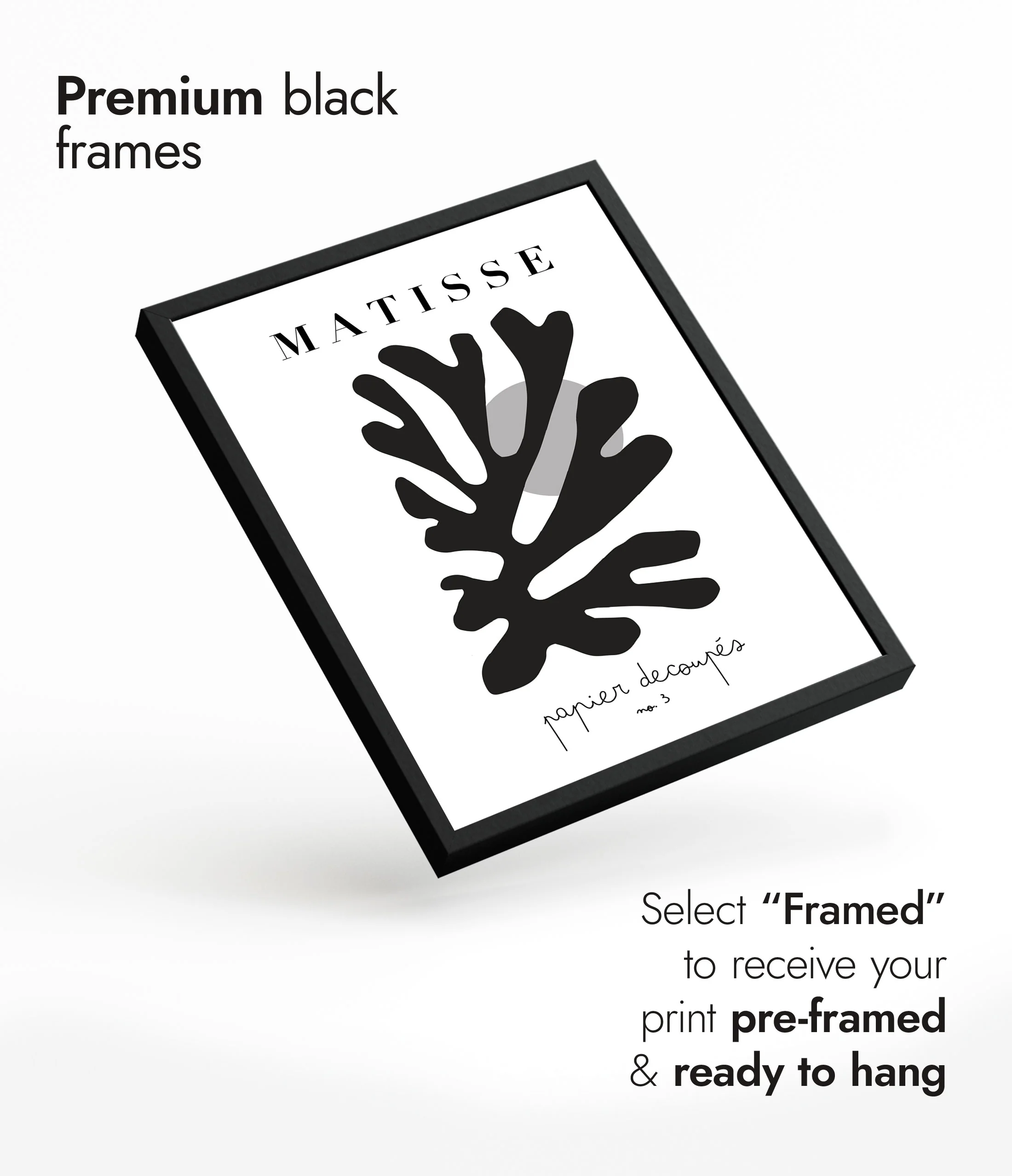 Matisse Cutouts No. 3 B&W - Image 7