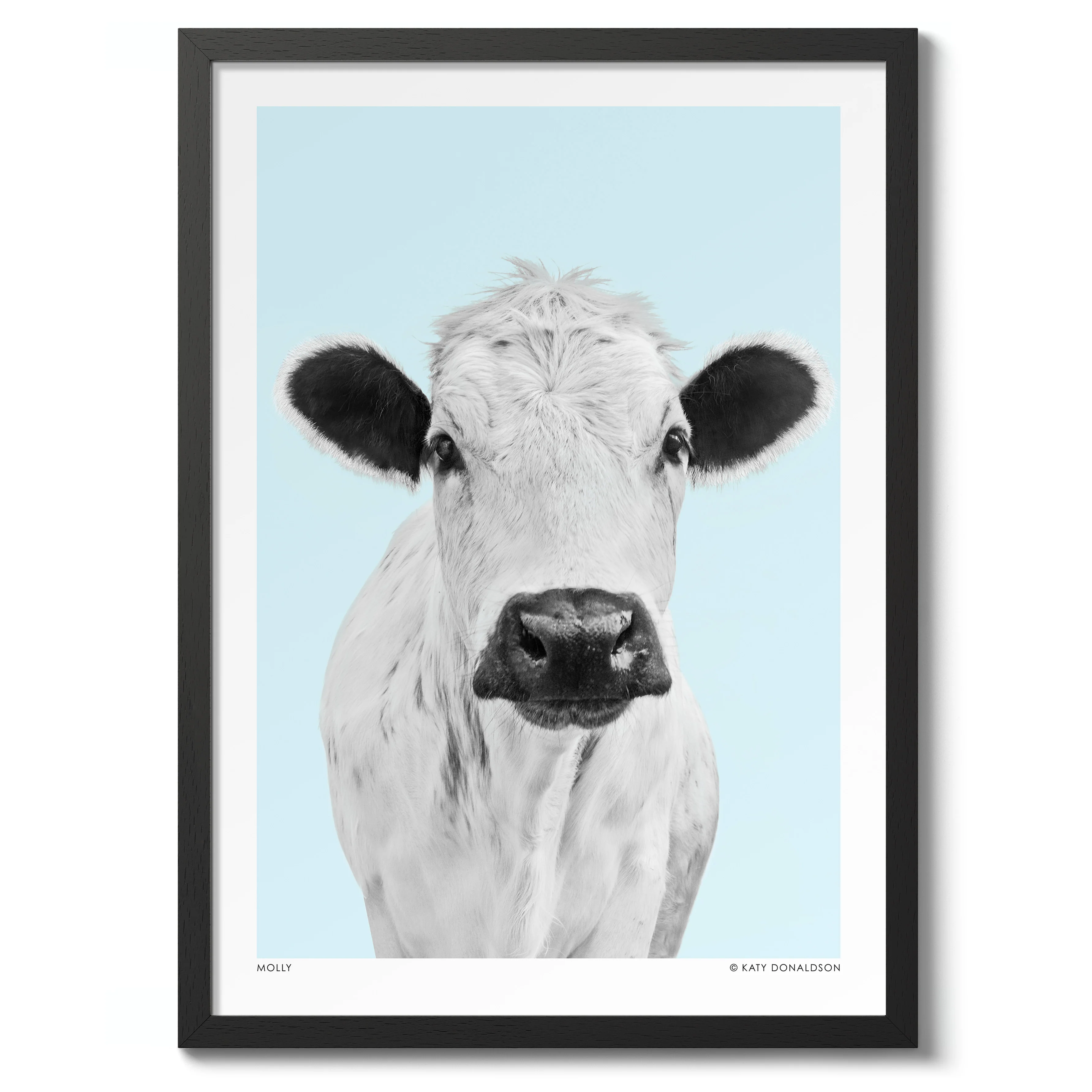 Molly - Image 2
