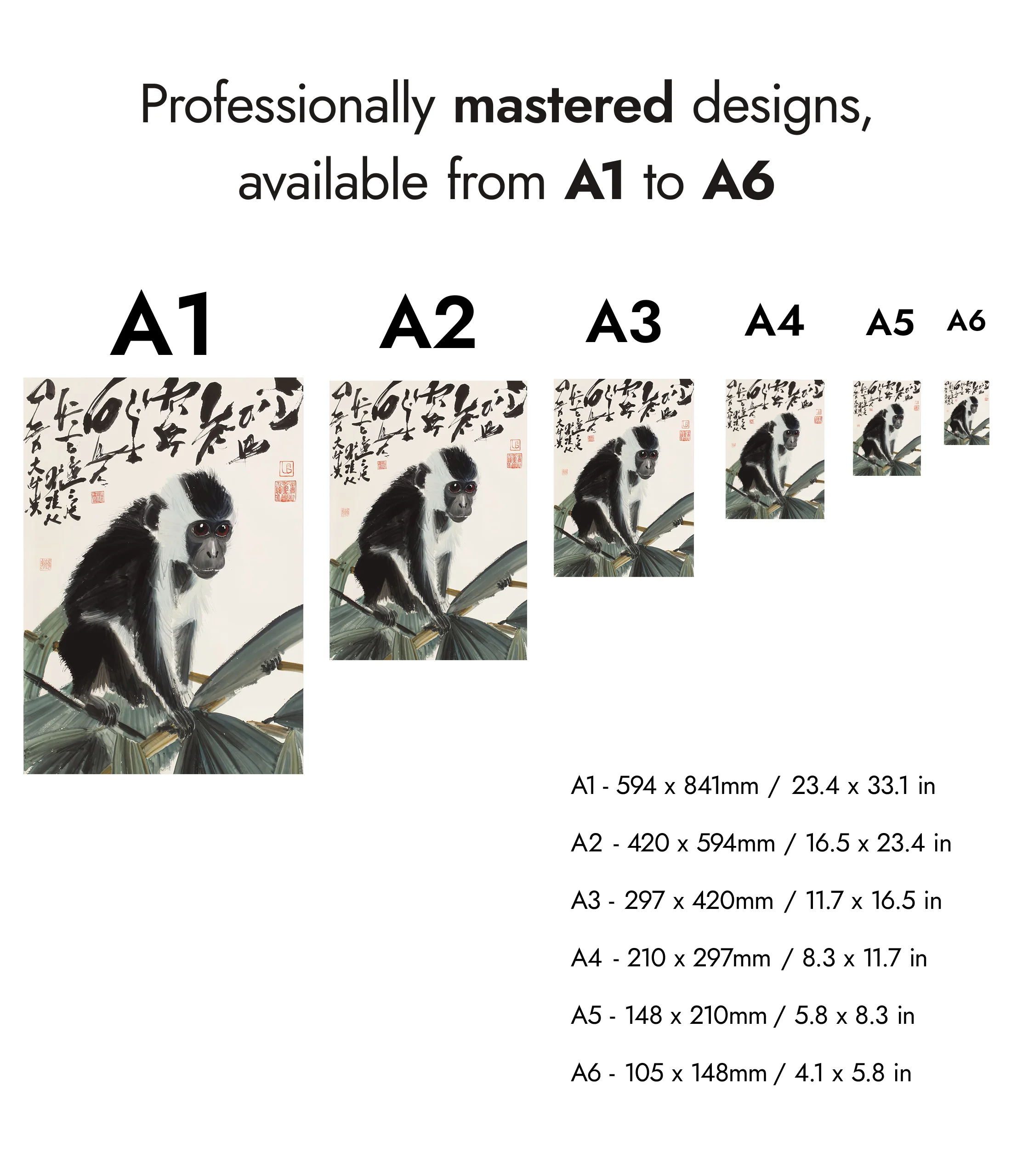Monkey - Image 8