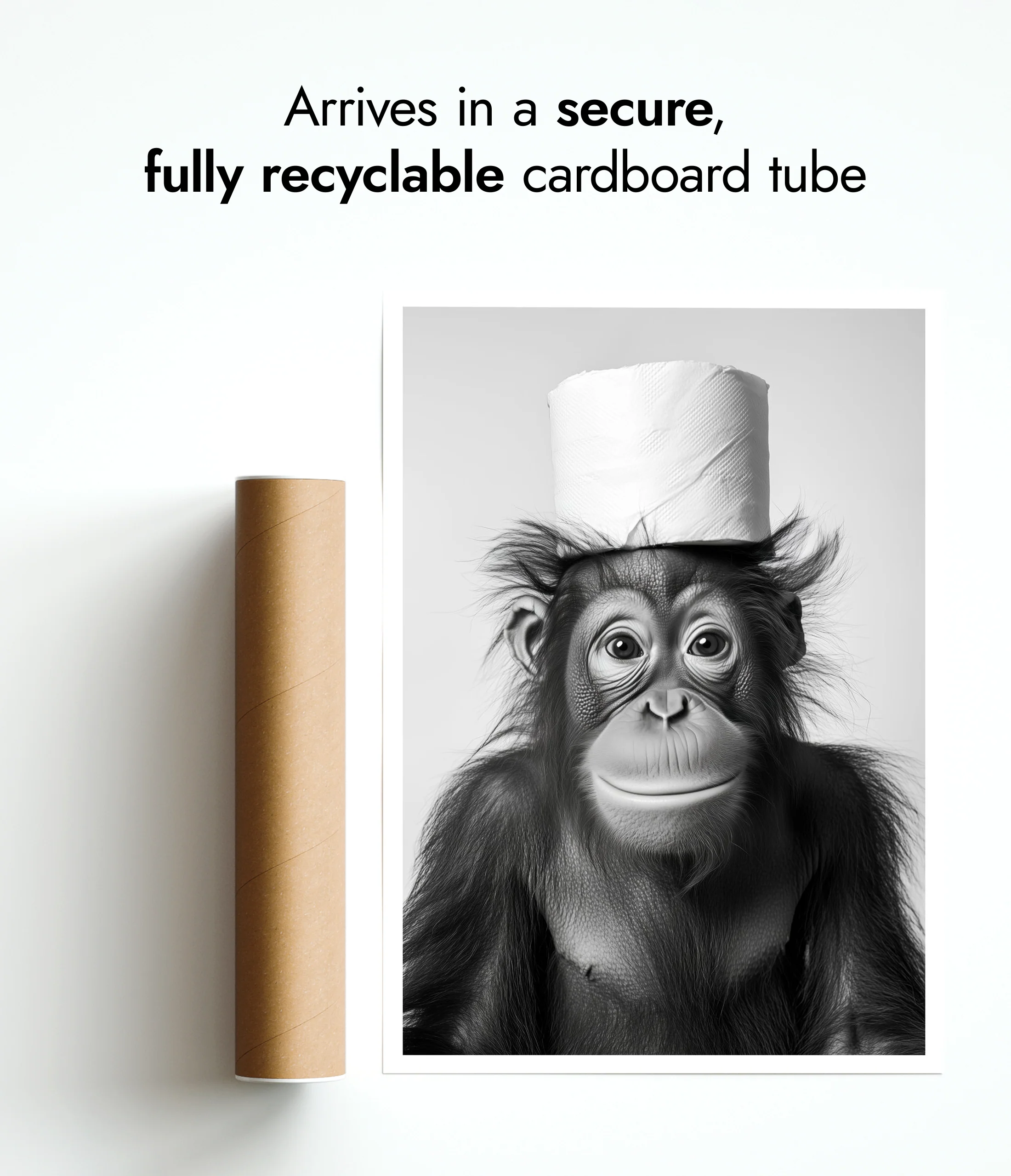 Monkey Business - Image 9