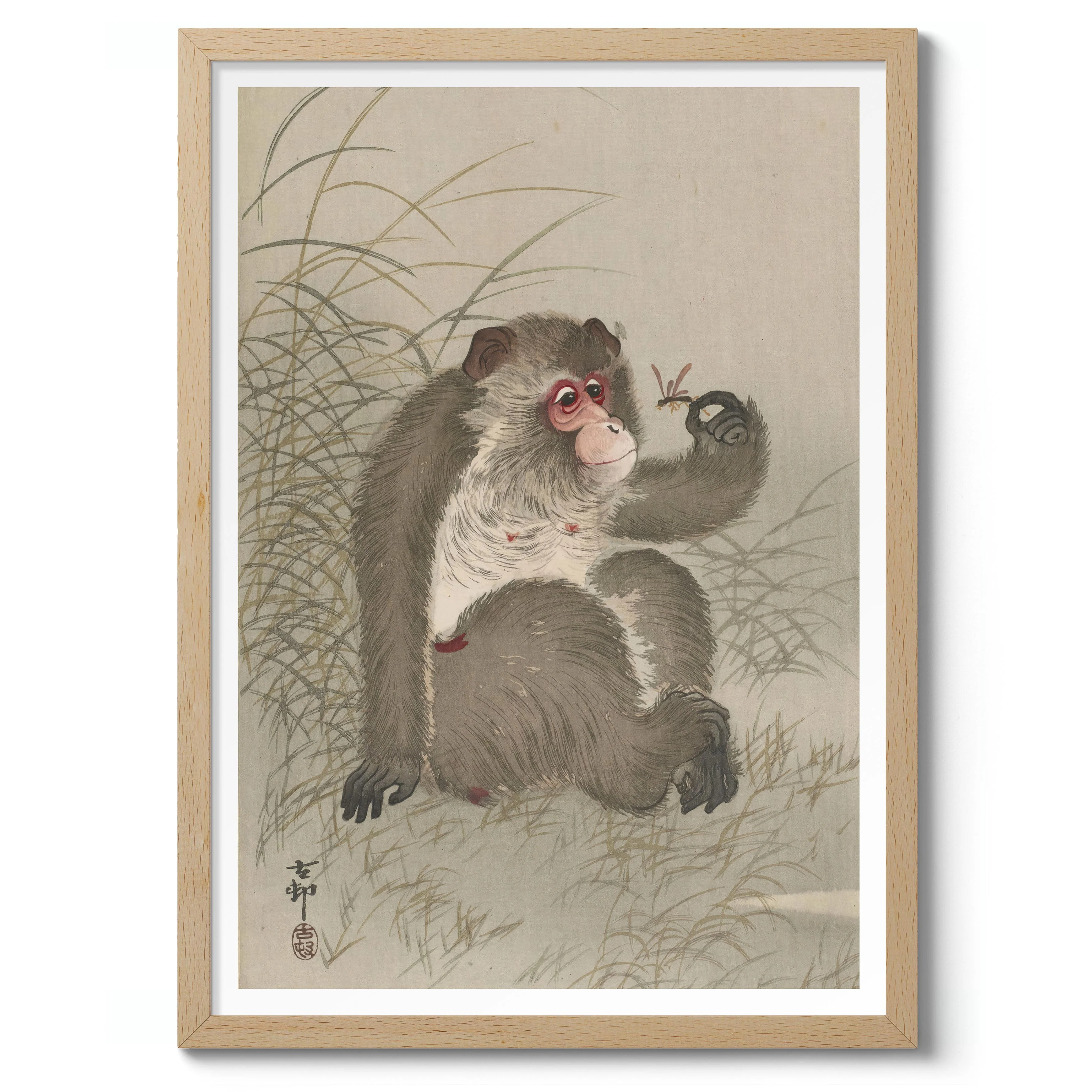 Monkey Studying a Dragonfly in his Hand - Image 3
