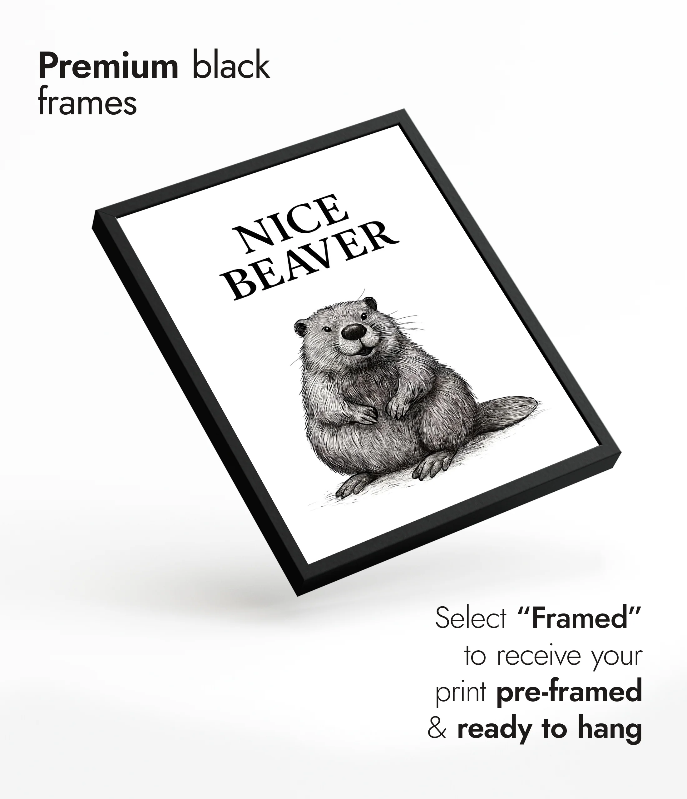 Nice Beaver - Image 7
