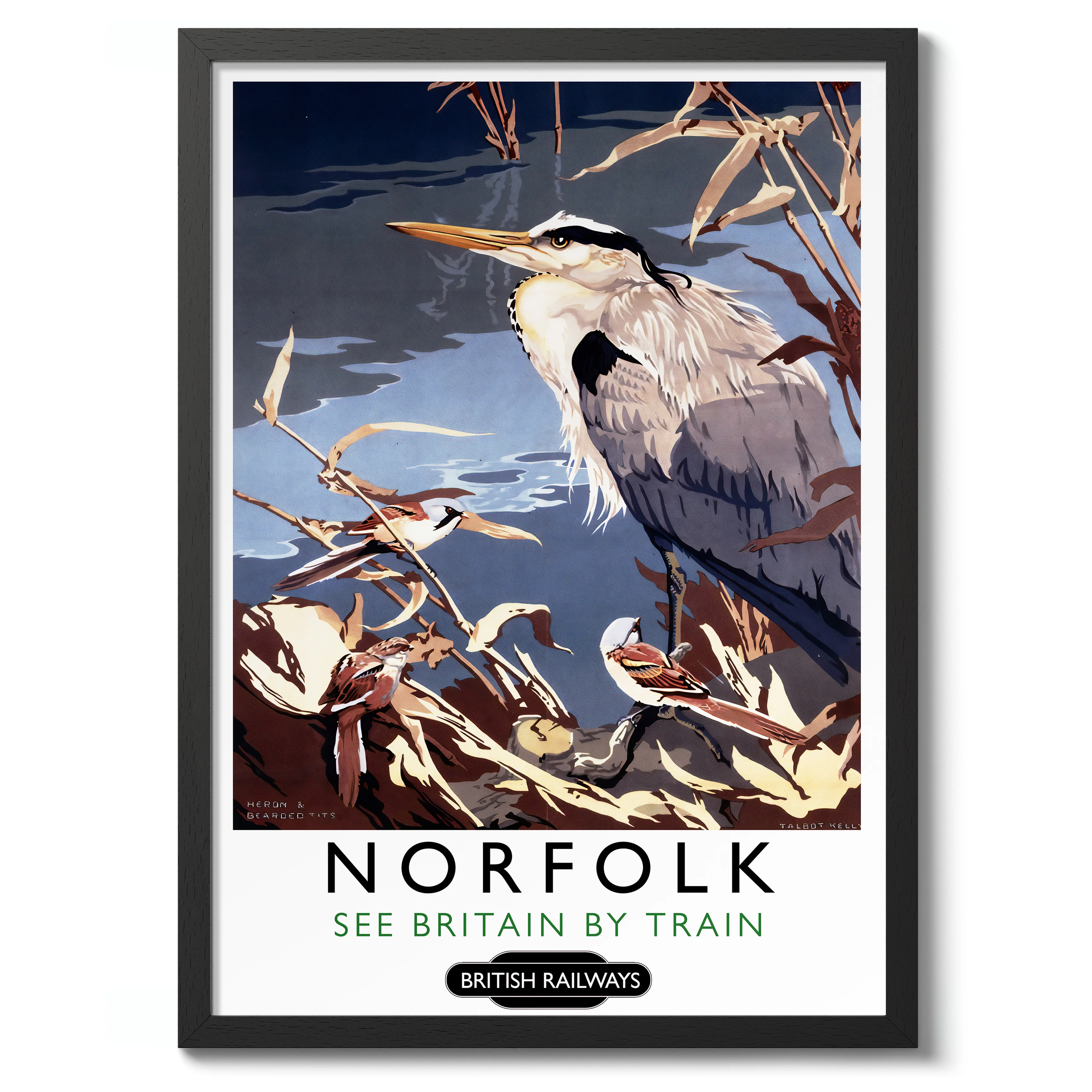 Norfolk - Image 2