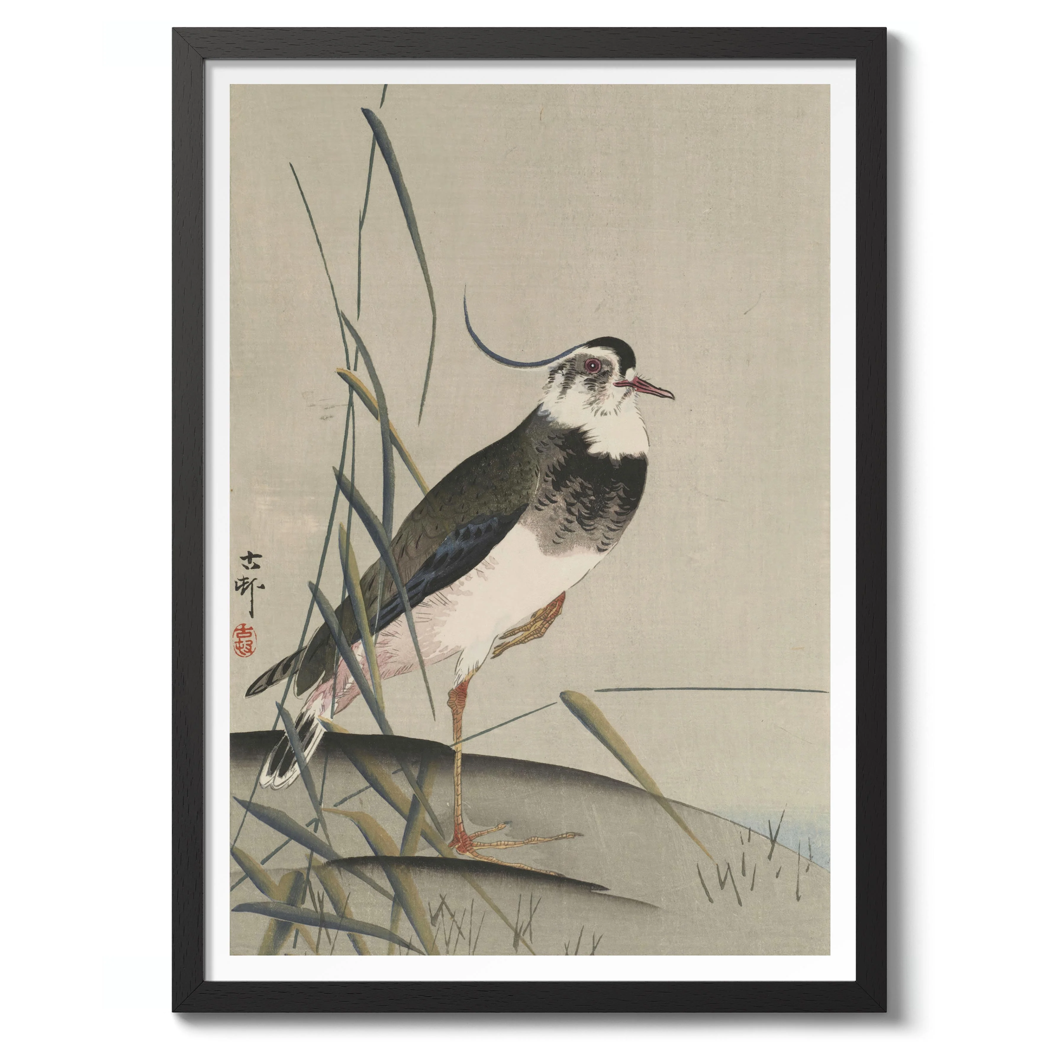 Northern Lapwing & Reeds - Image 2