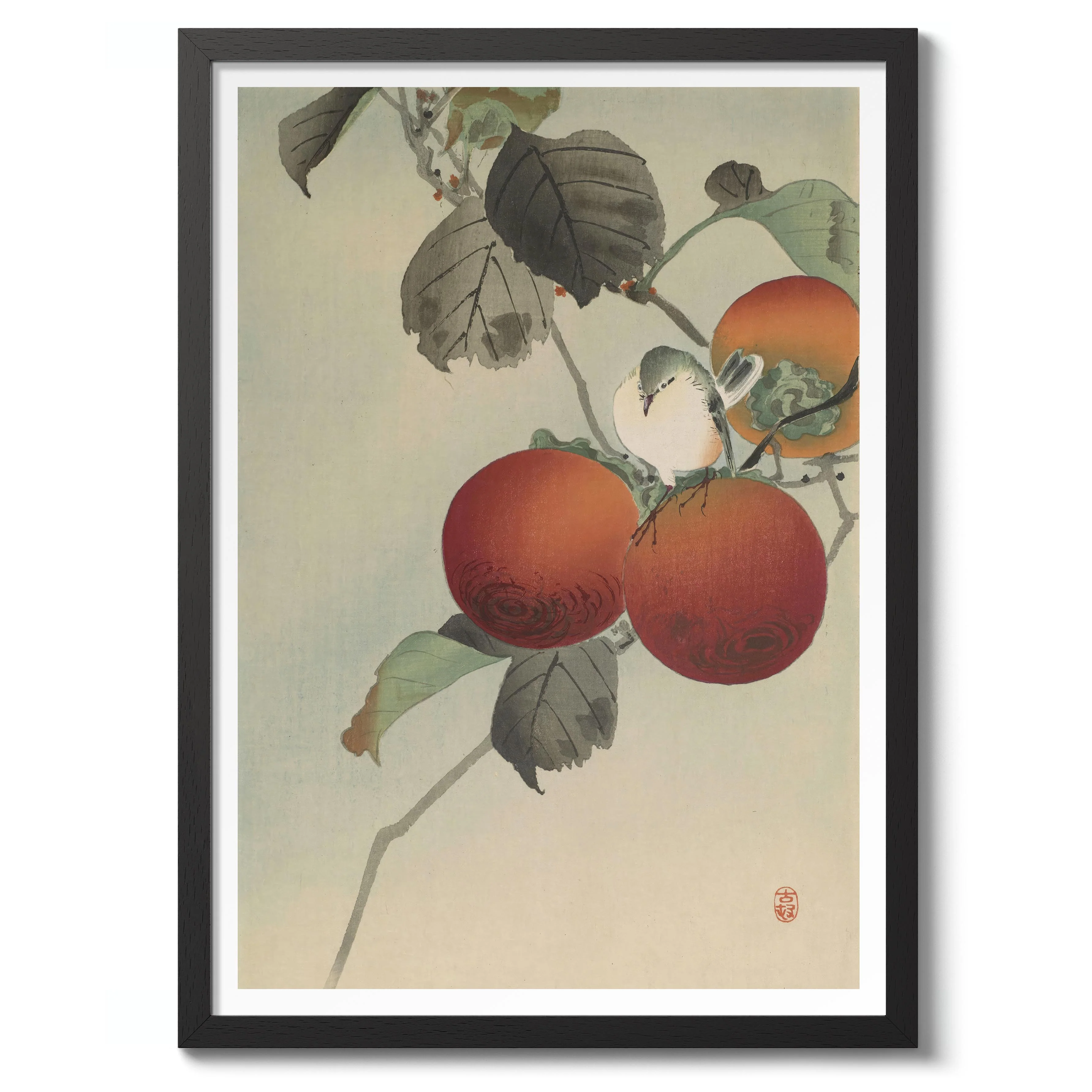 Nuthatcher atop Persimmons - Image 2