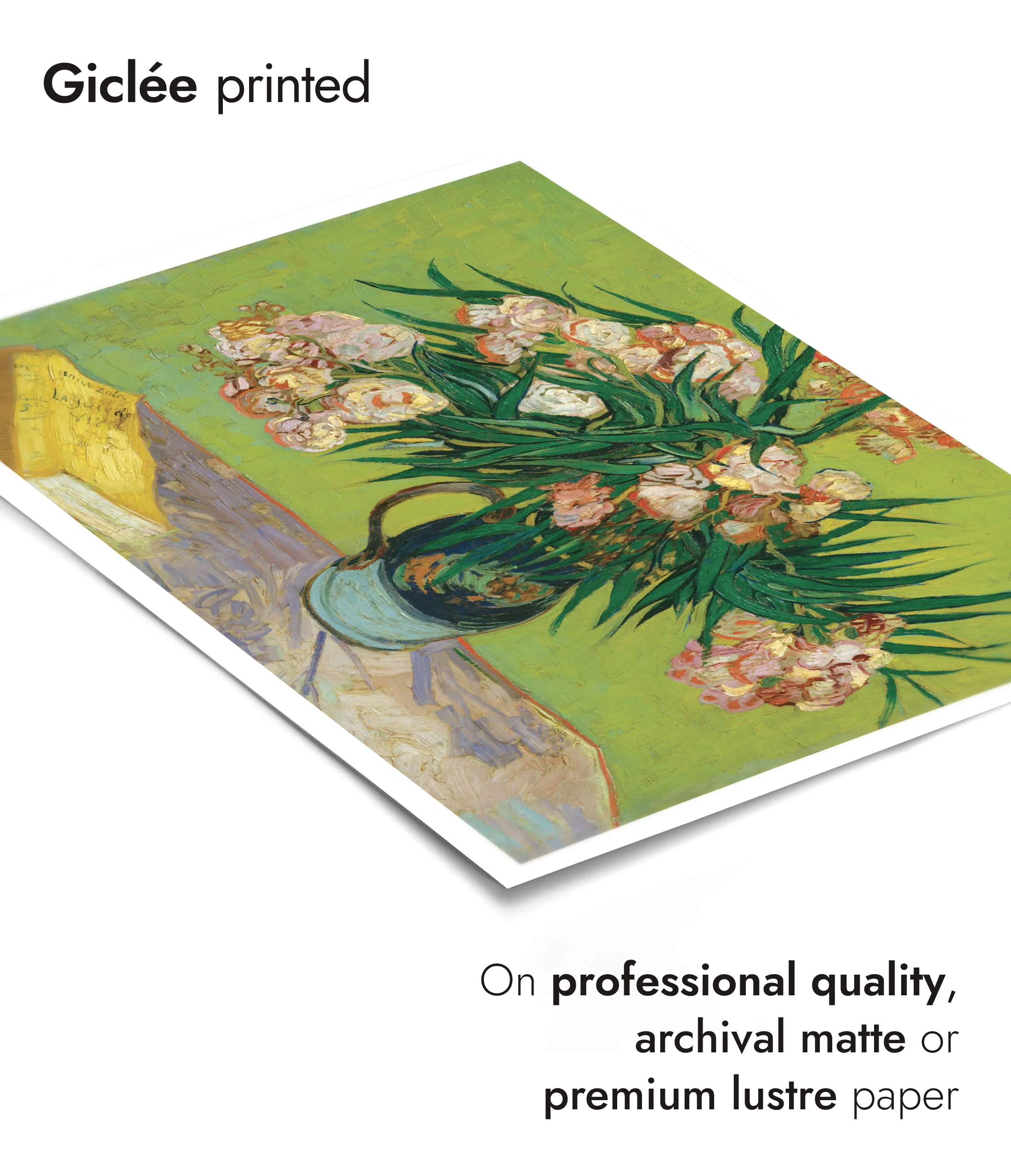 Oleanders - Image 6