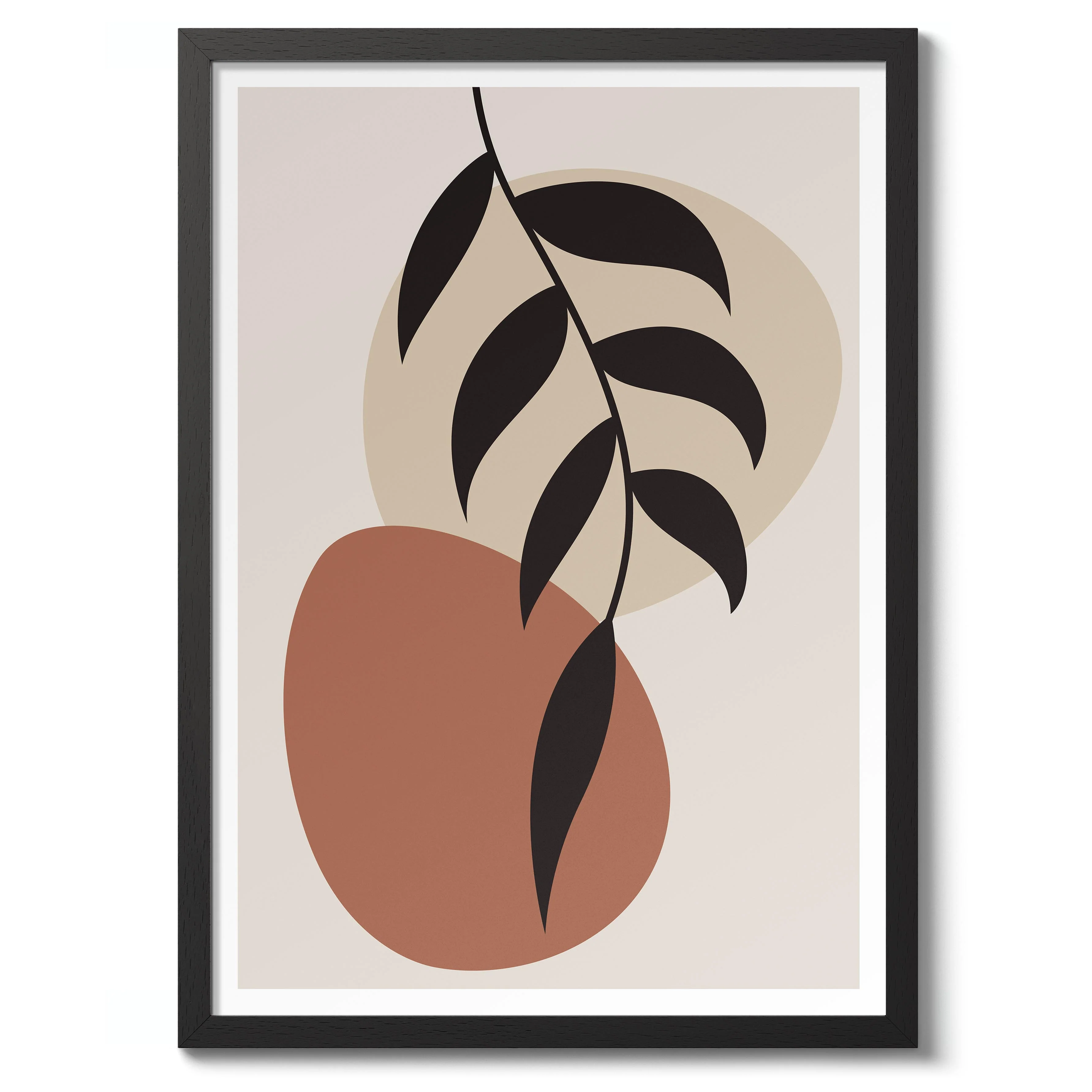Olive Branch - Image 2