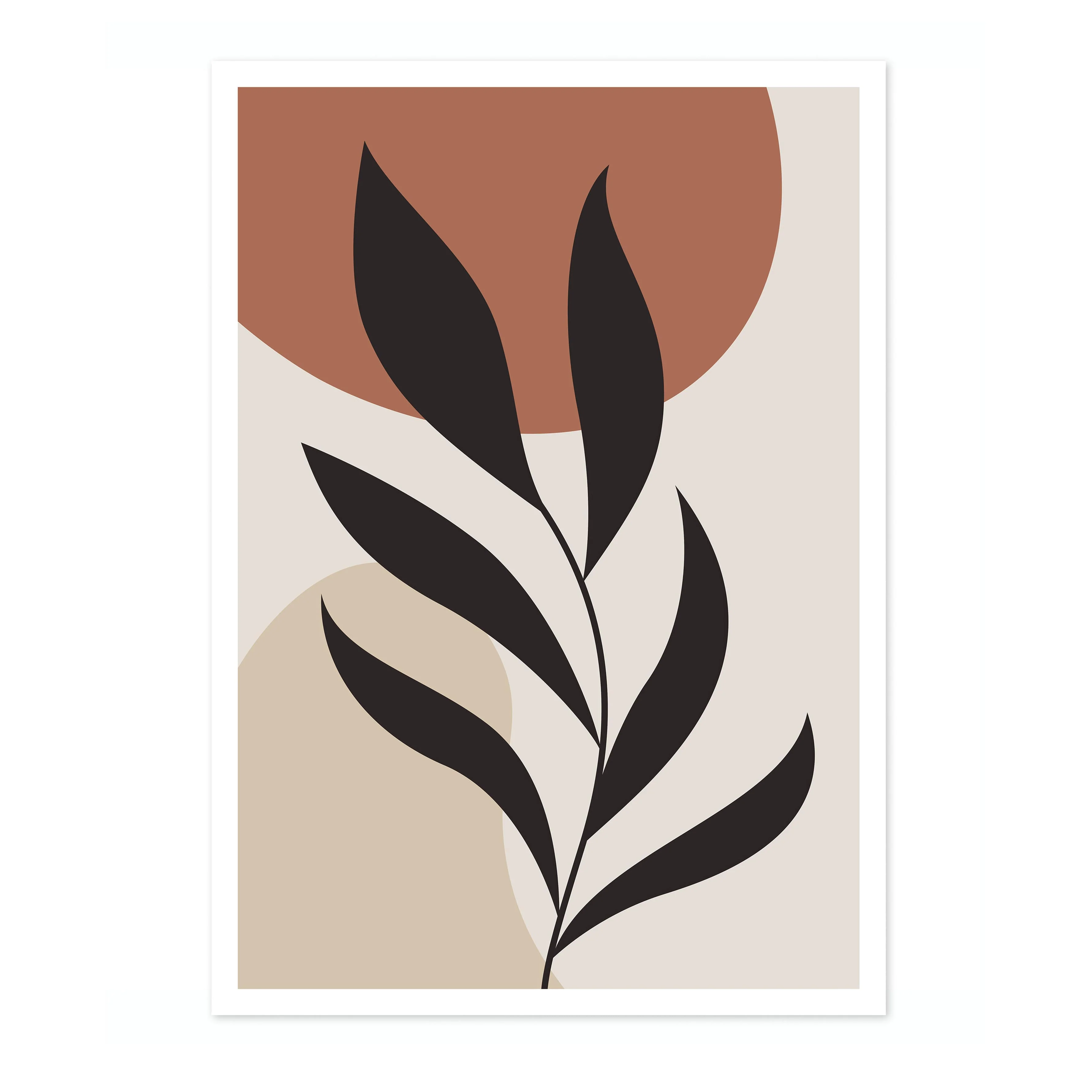 Olive Branch - Image 4