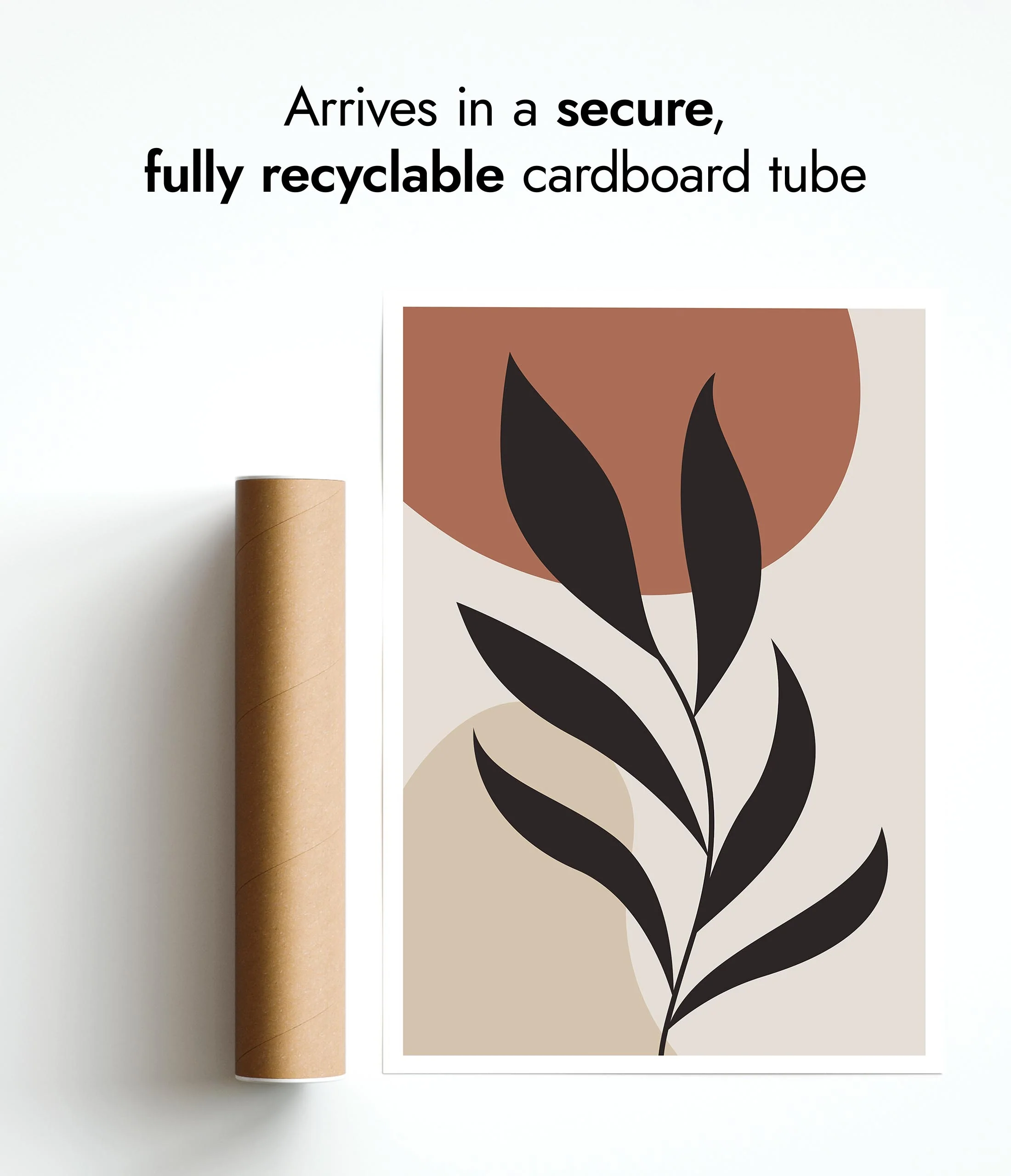 Olive Branch - Image 9