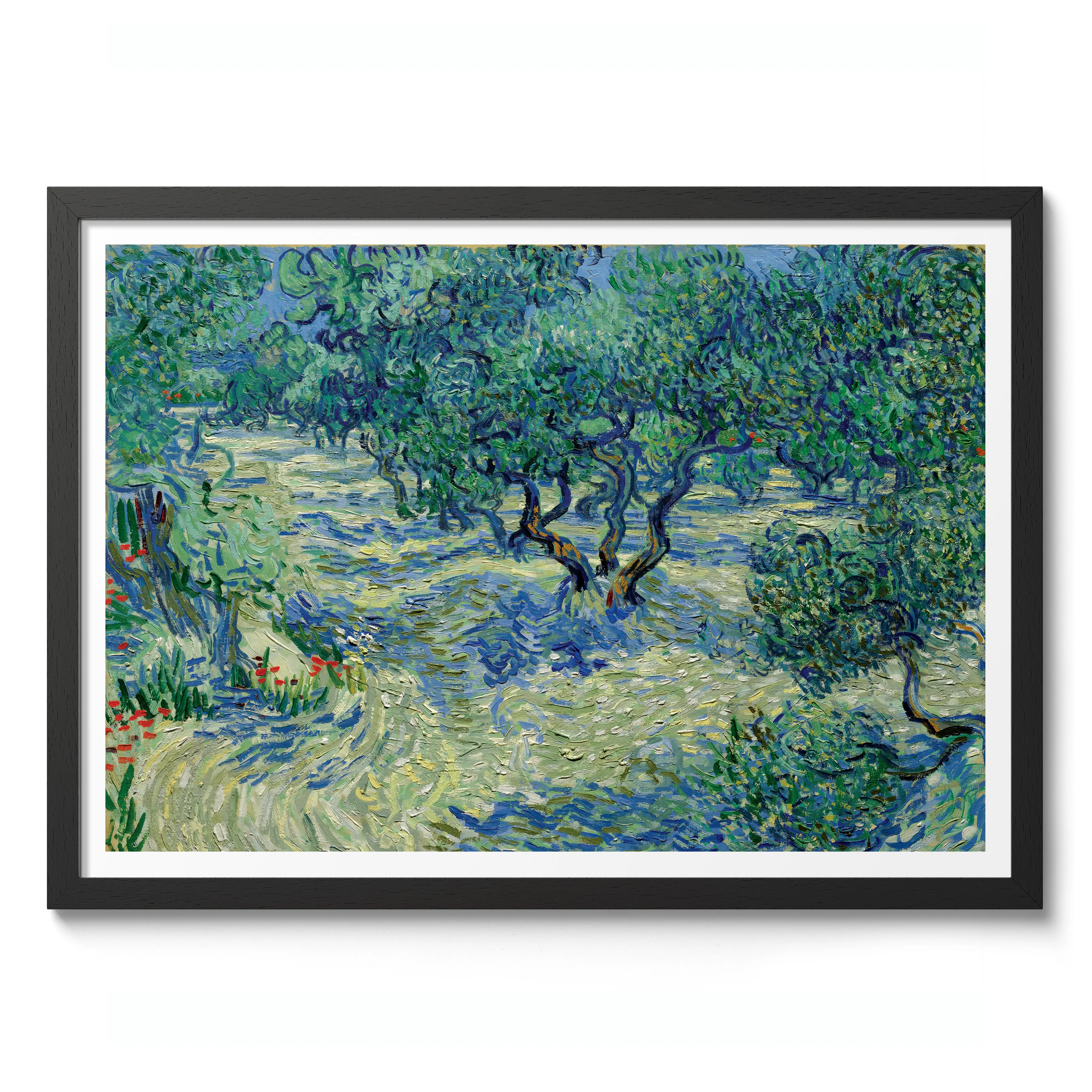 Olive Orchard - Image 2