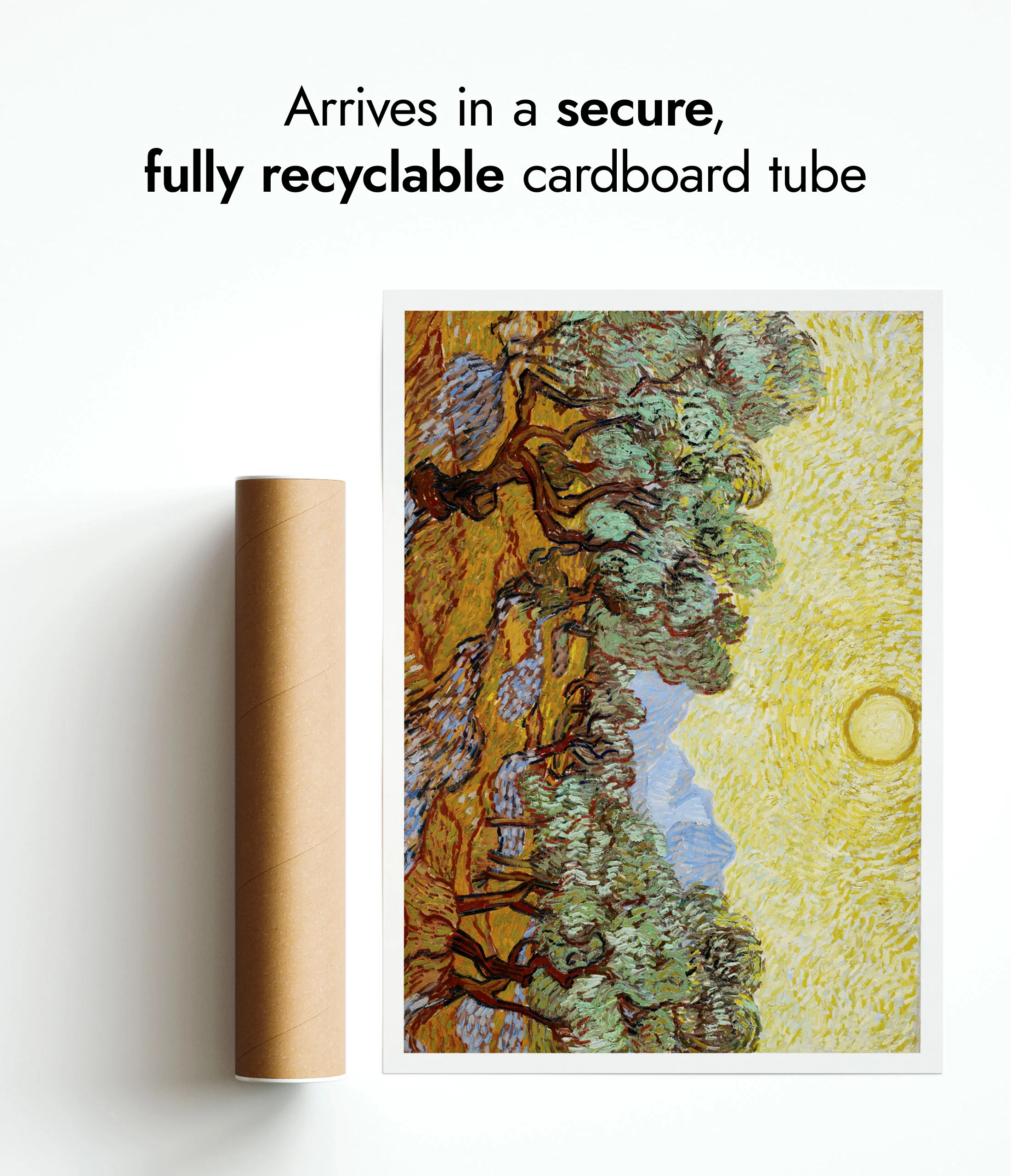 Olive Trees - Image 9