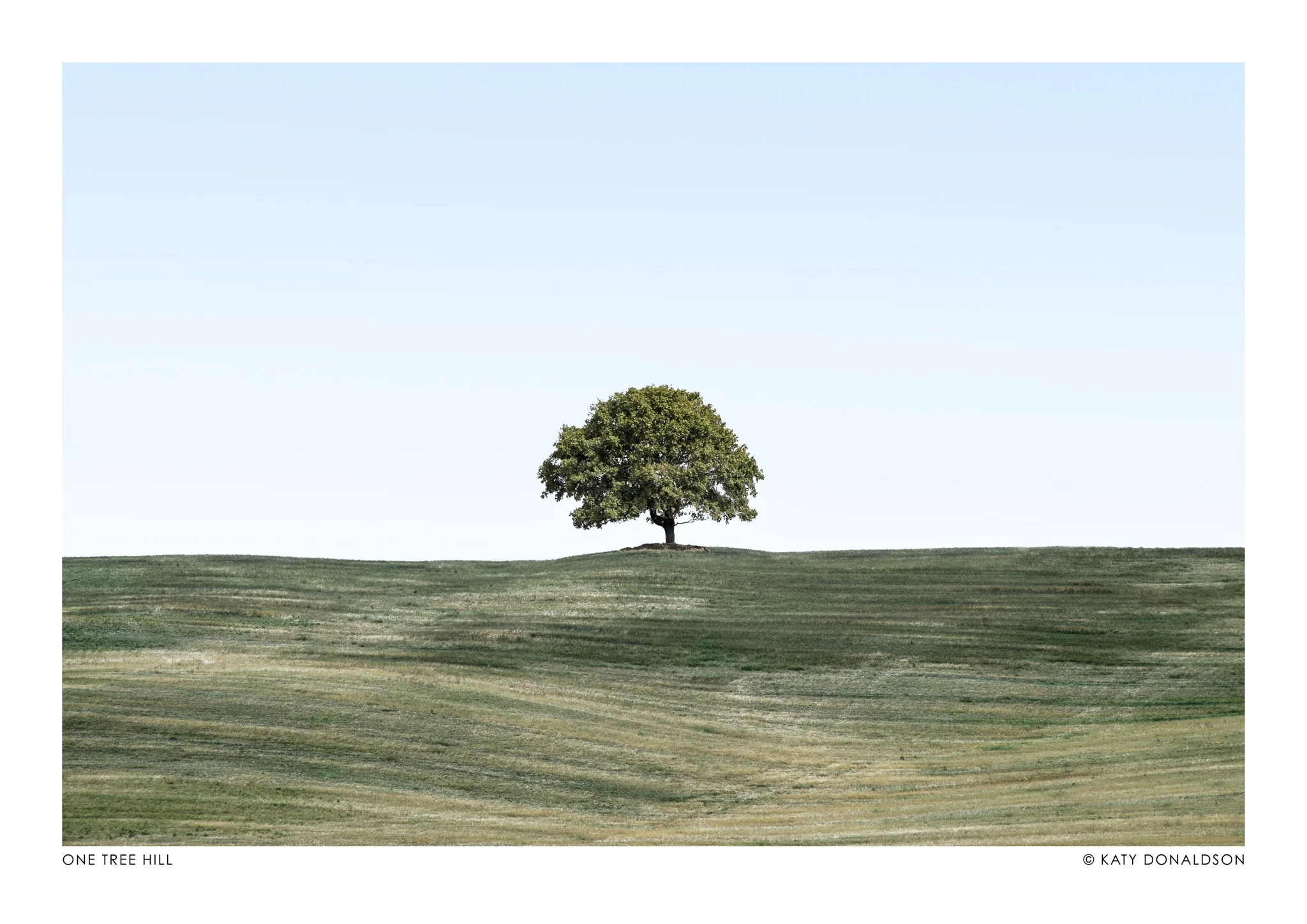 One Tree Hill Landscape
