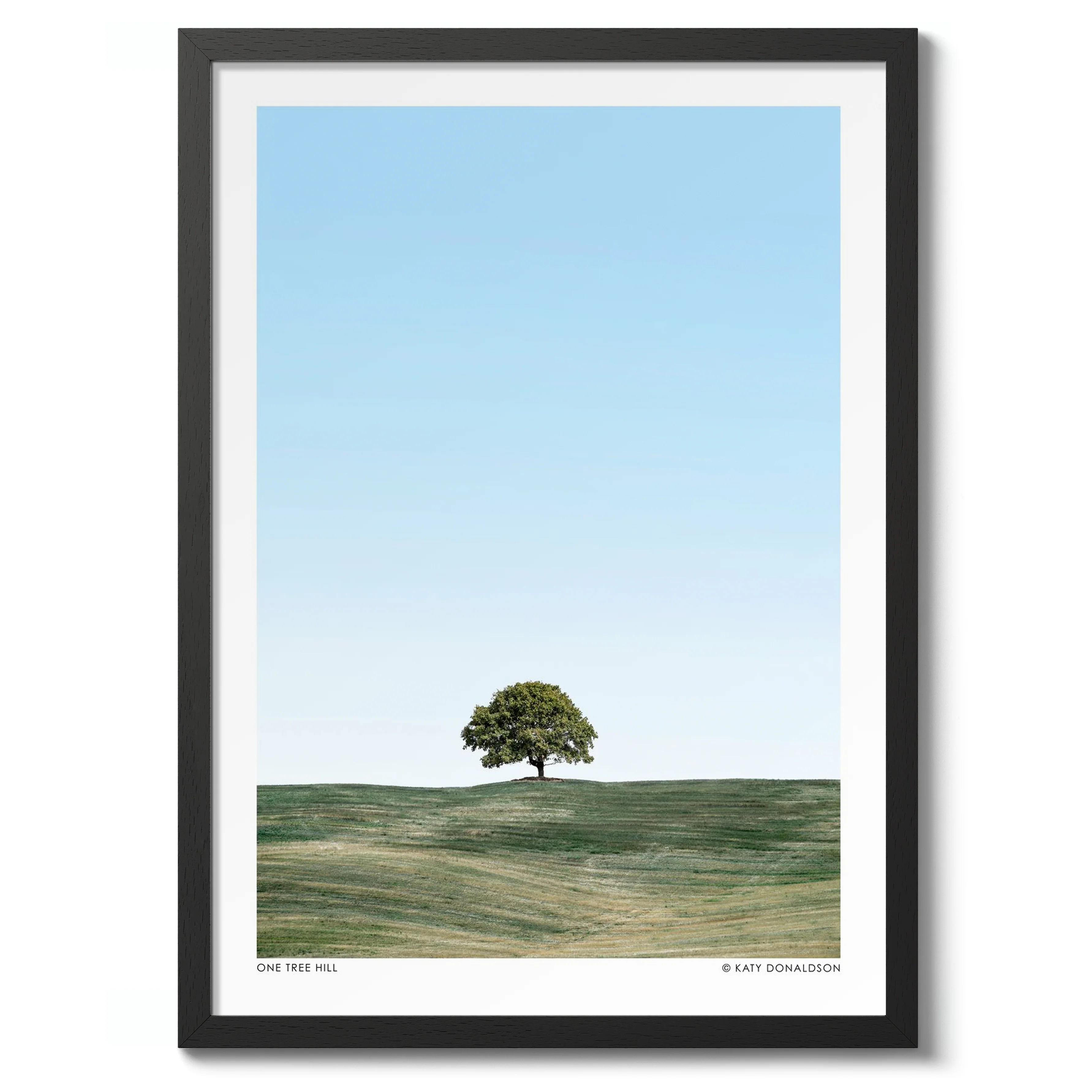 One Tree Hill Portrait - Image 2