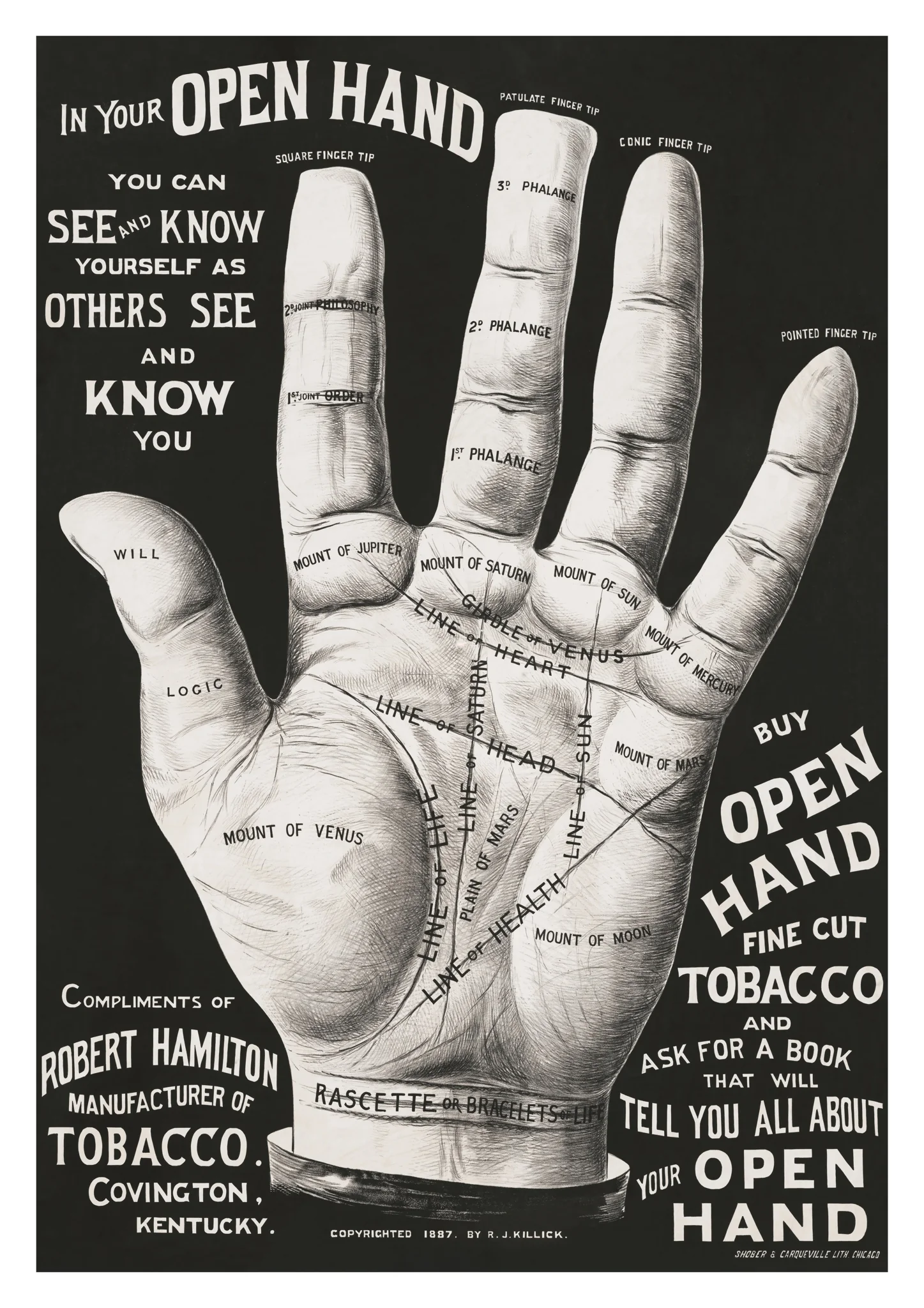 Open Hand, Palm Reading