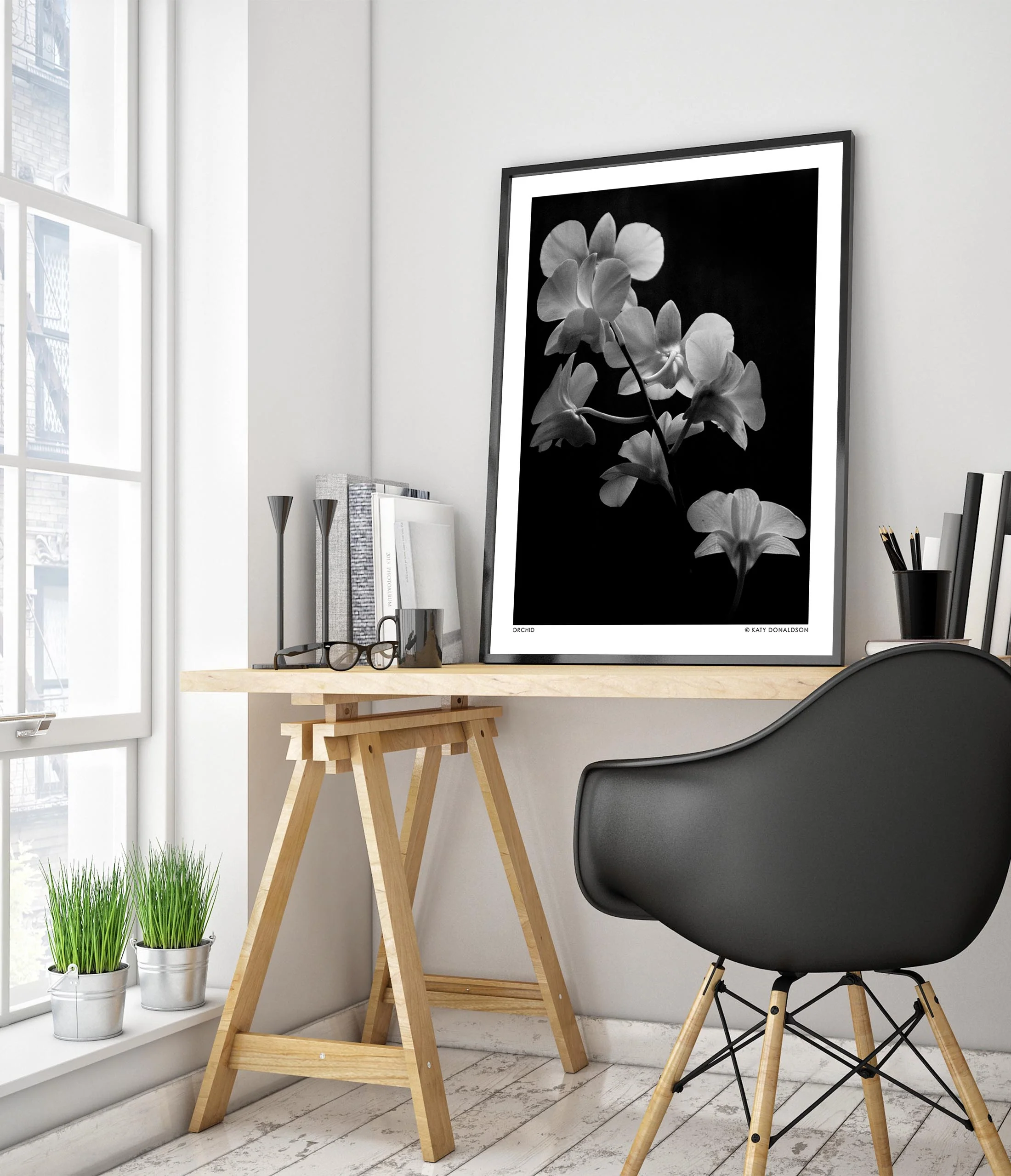 Orchid - Image 5