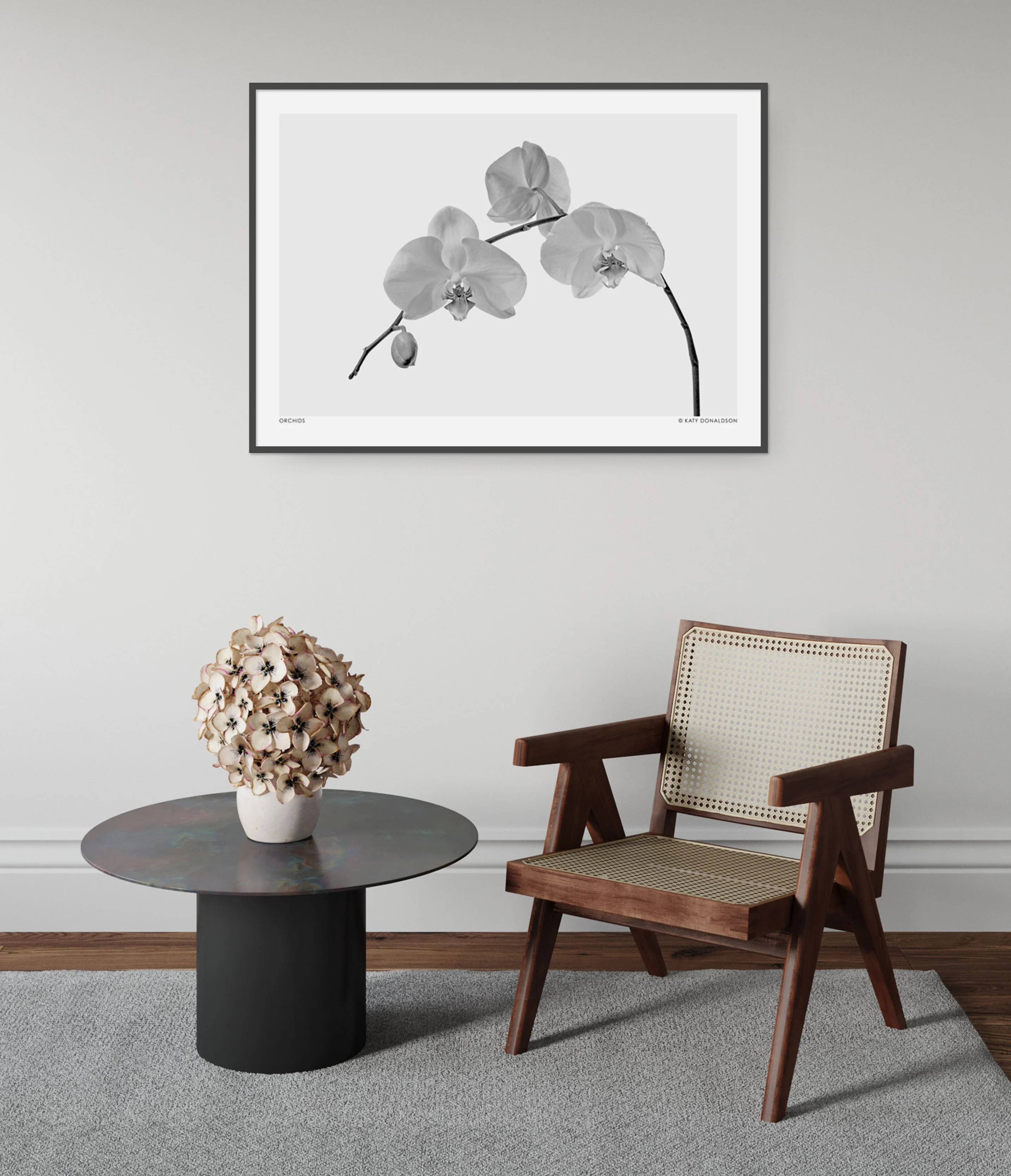 Orchids - Image 5