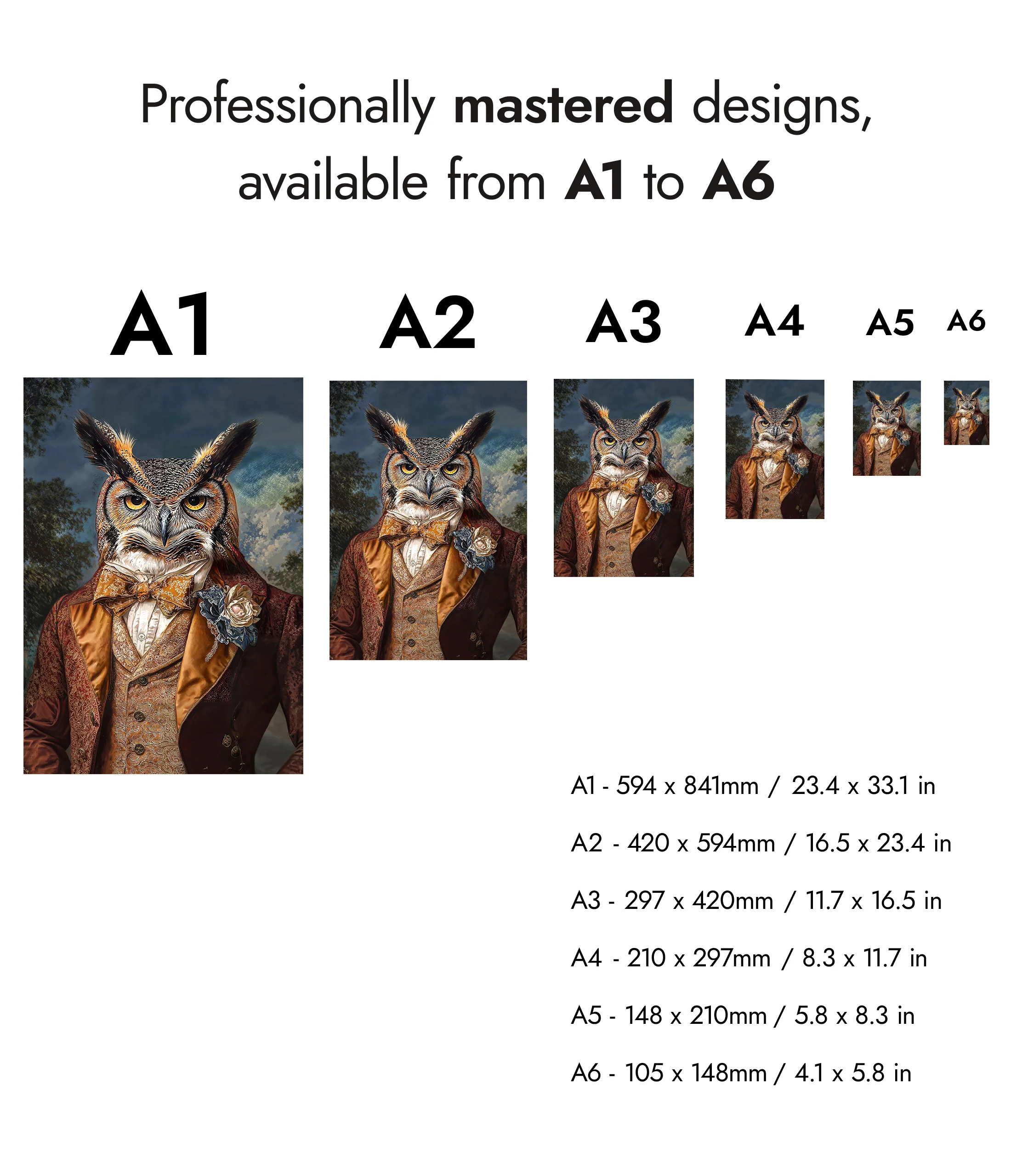Owl - Image 8