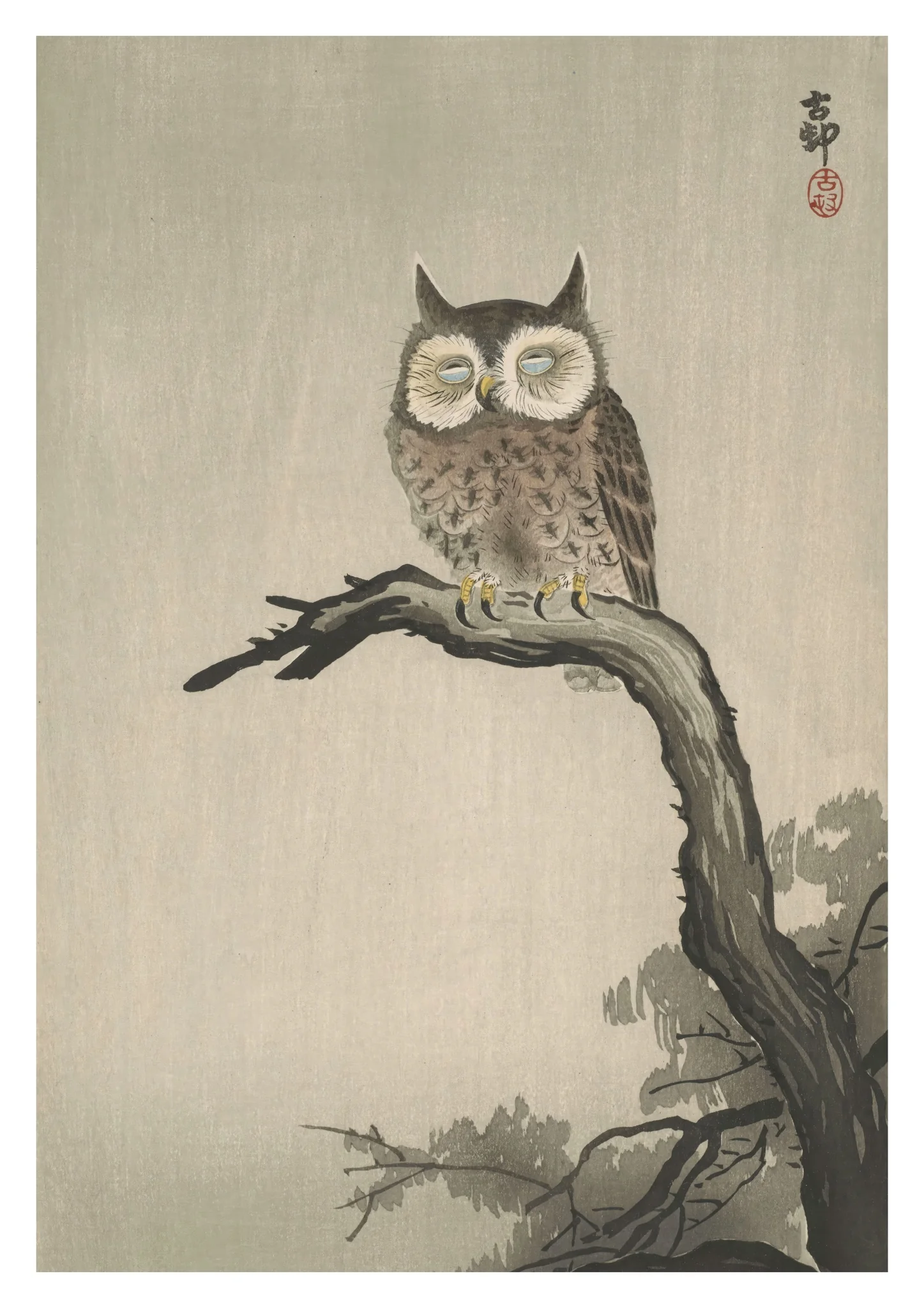 Owl on Tree