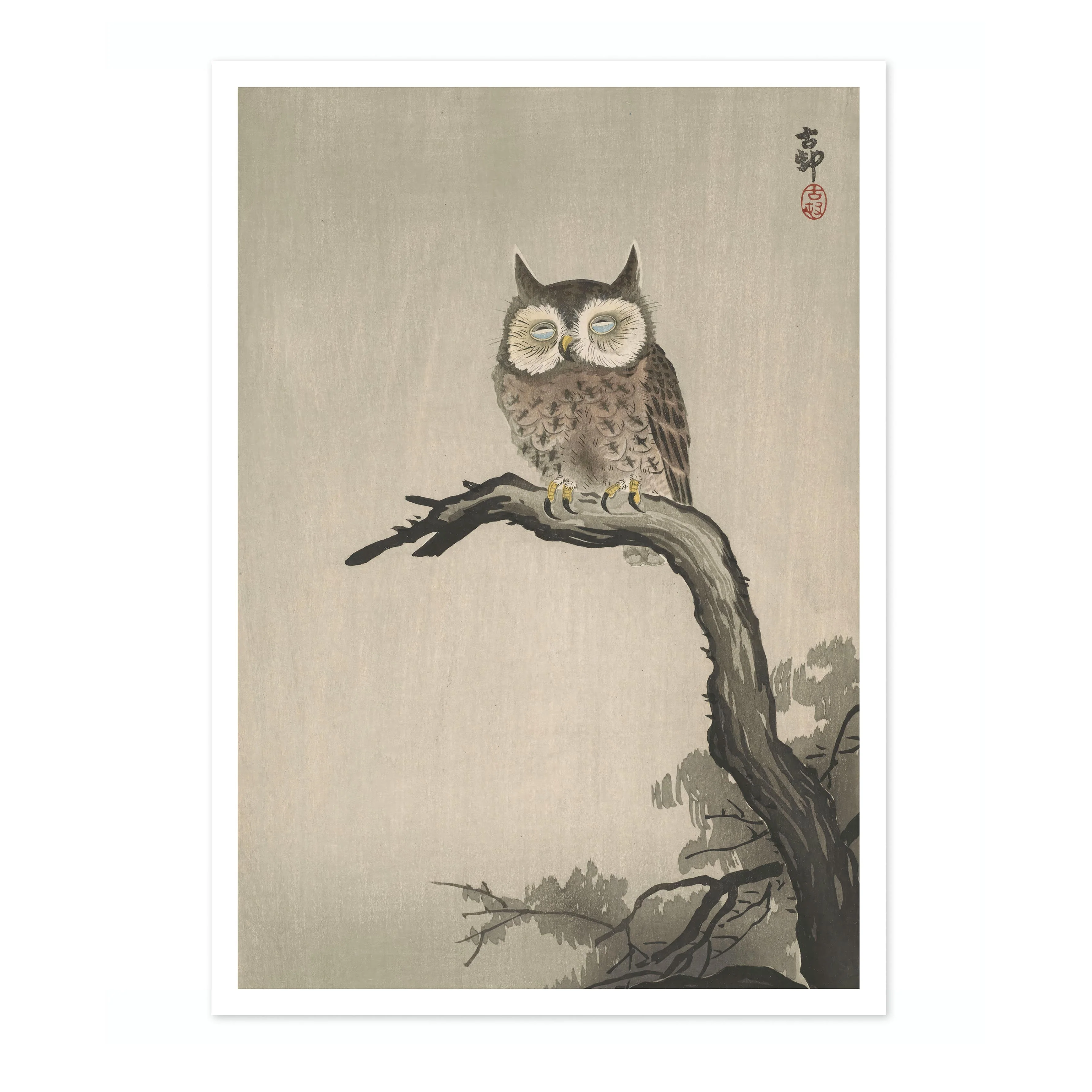 Owl on Tree - Image 4