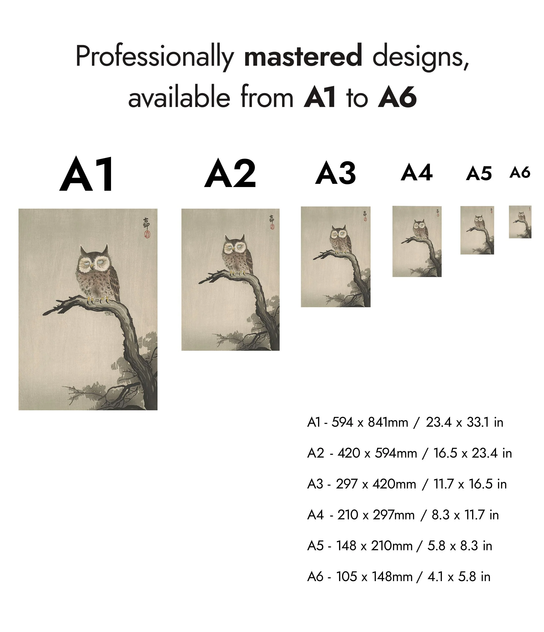 Owl on Tree - Image 8