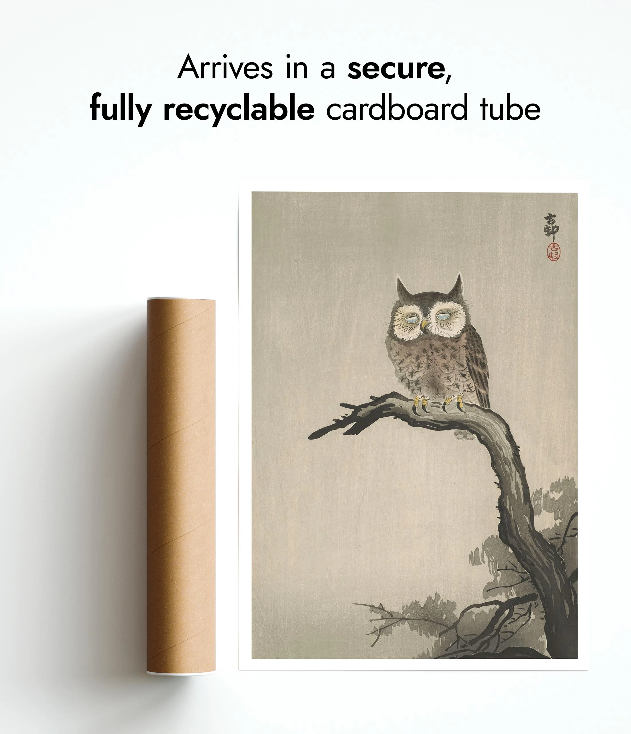 Owl on Tree - Image 9