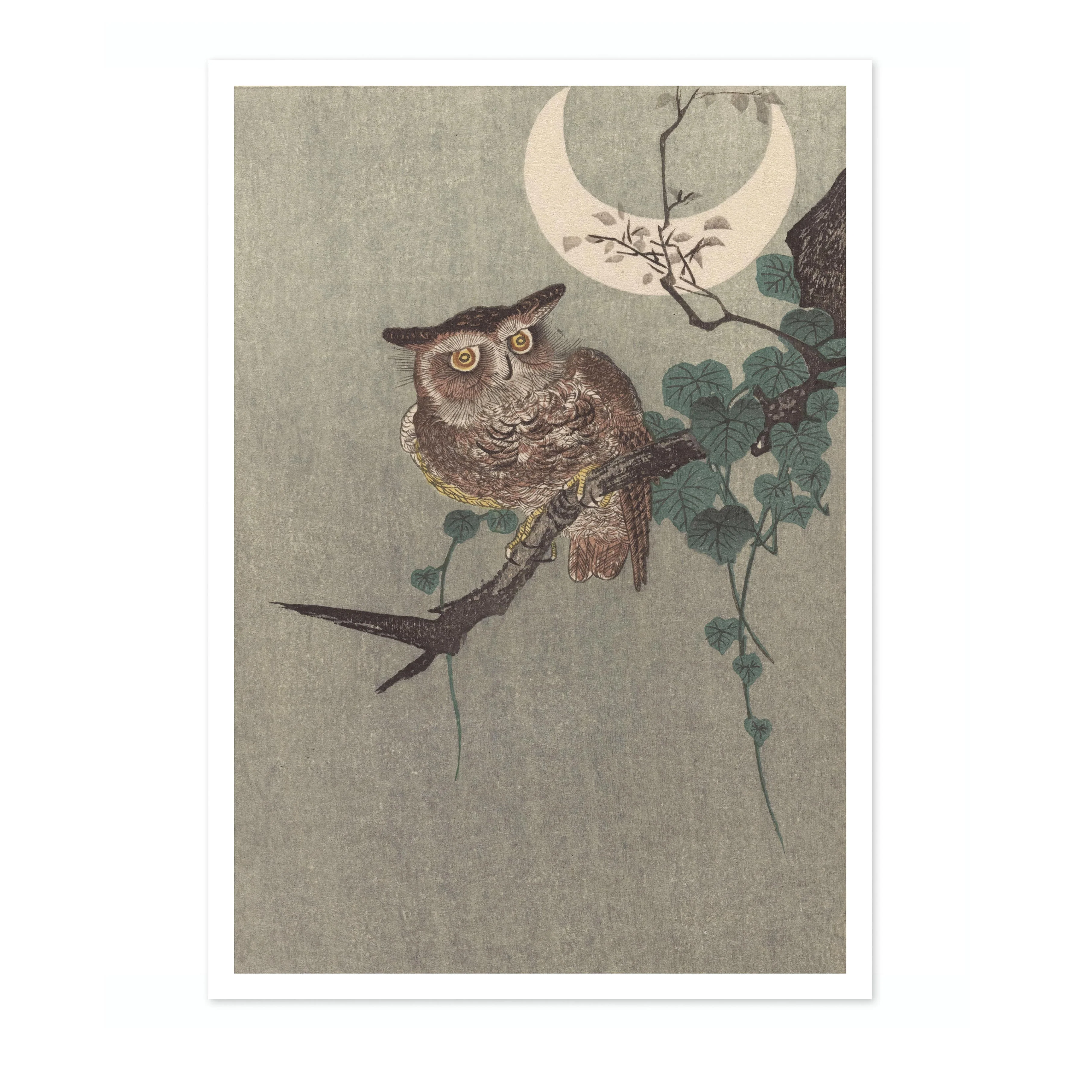 Owl Perched on a Branch & Crescent Moon - Image 4