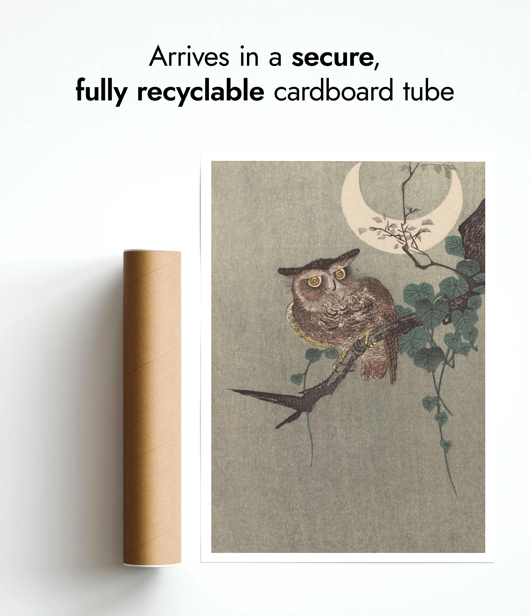 Owl Perched on a Branch & Crescent Moon - Image 9