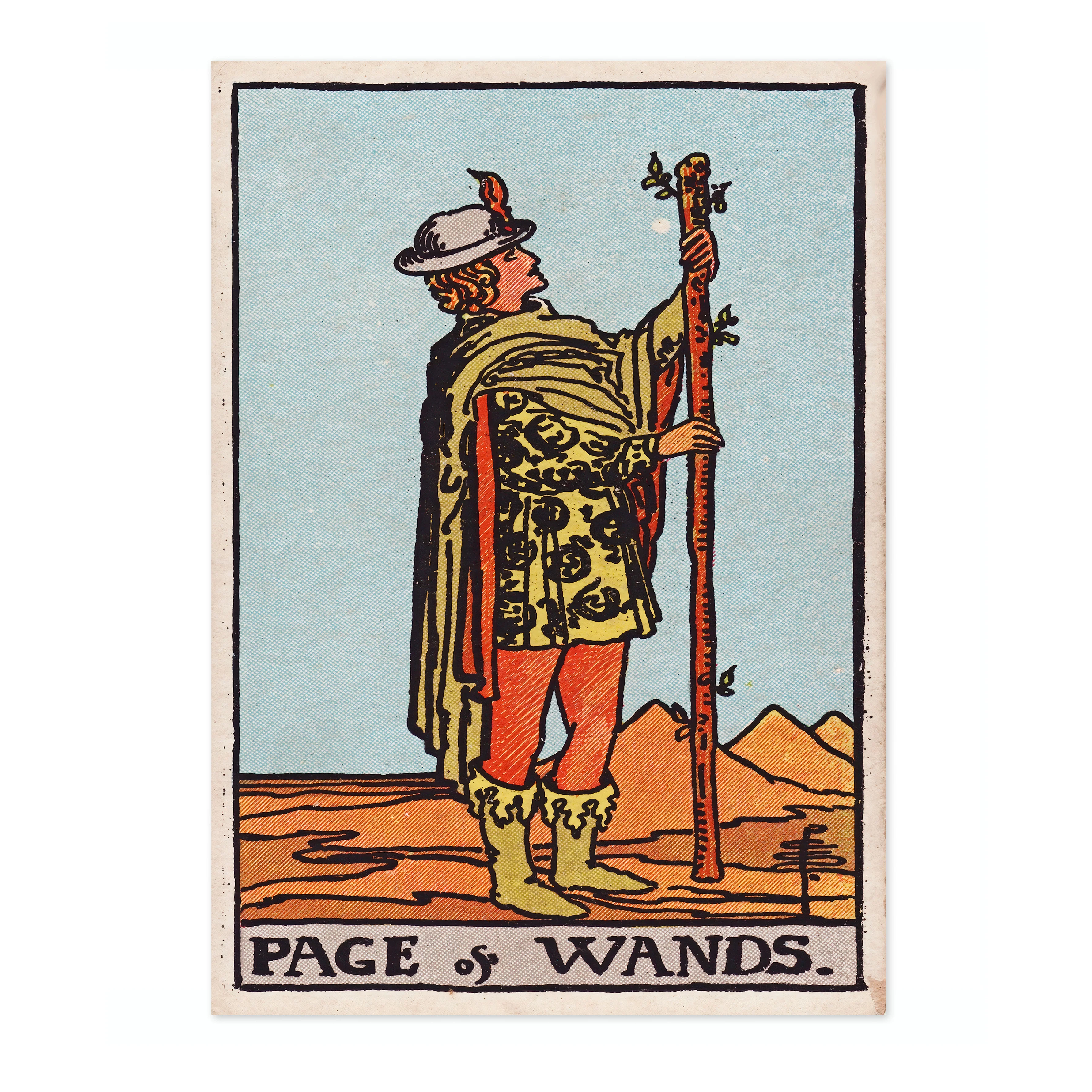 Page of Wands - Image 4