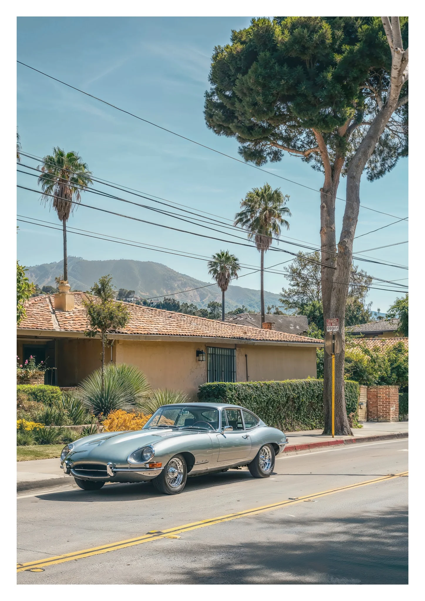 Palm Heritage