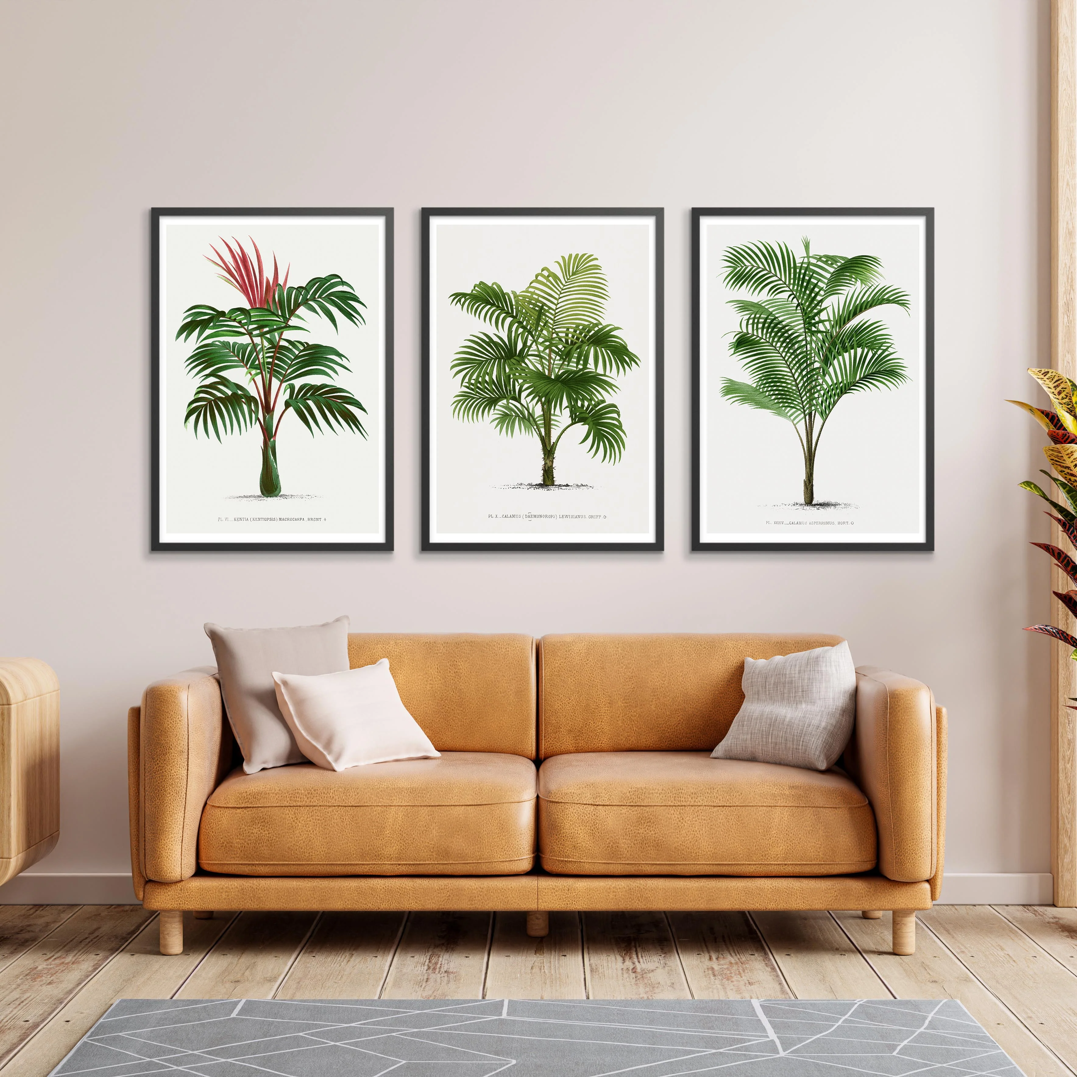 Palm Trees II - Image 4