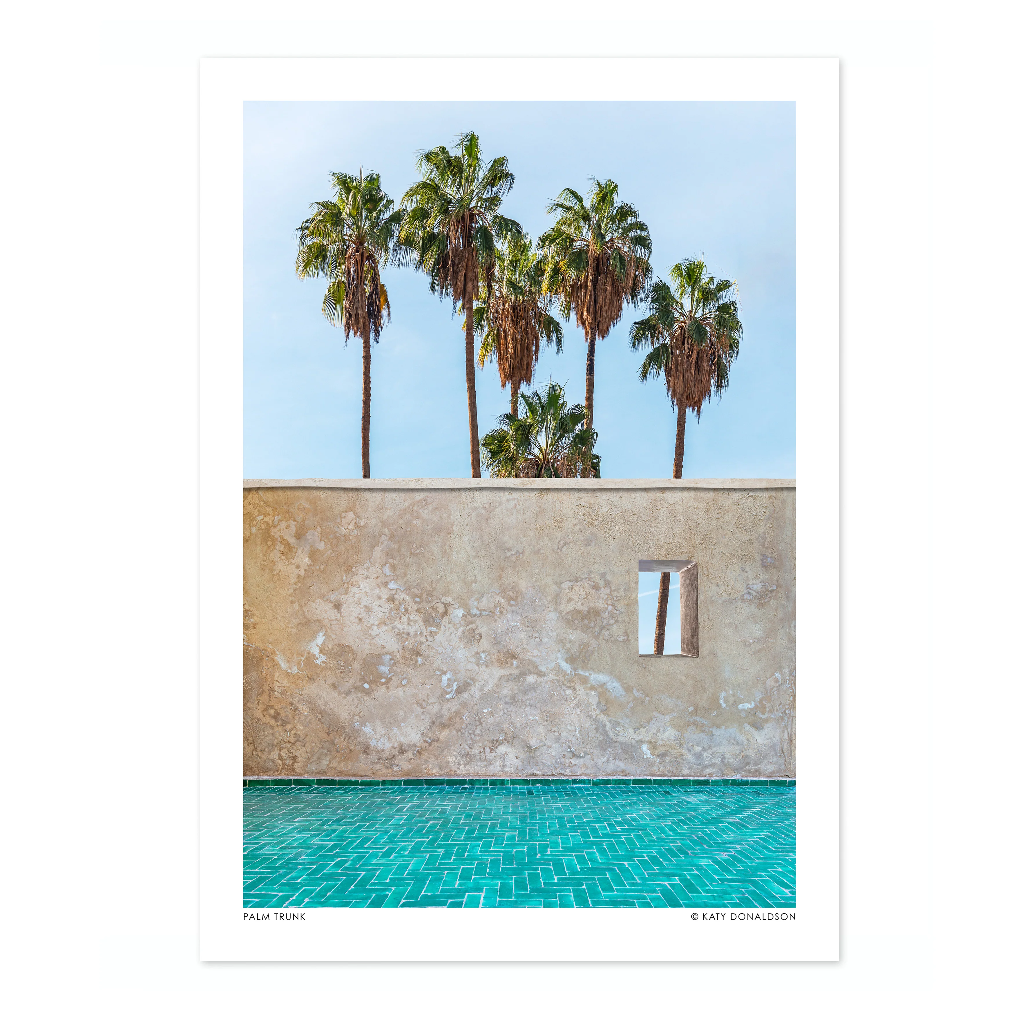 Palm Trunk - Image 4