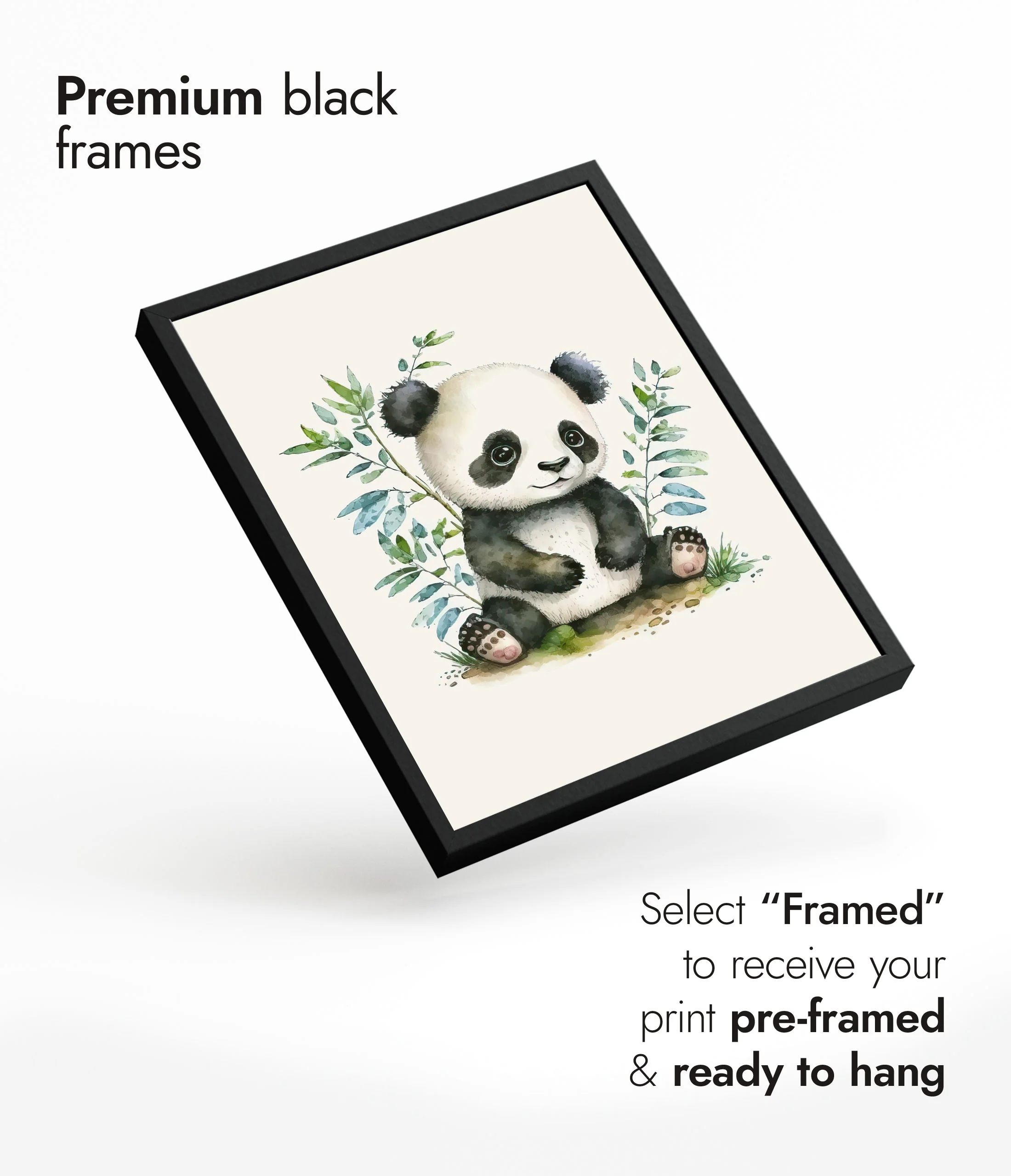 Panda - Image 7