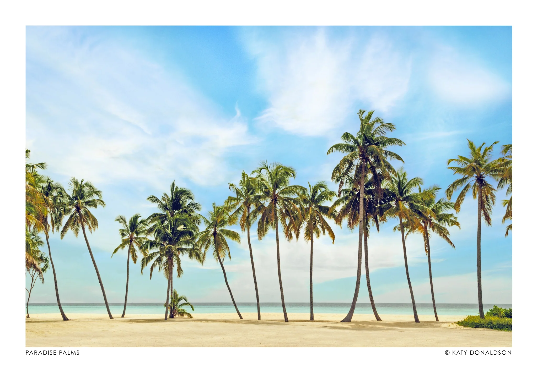 Paradise Palms