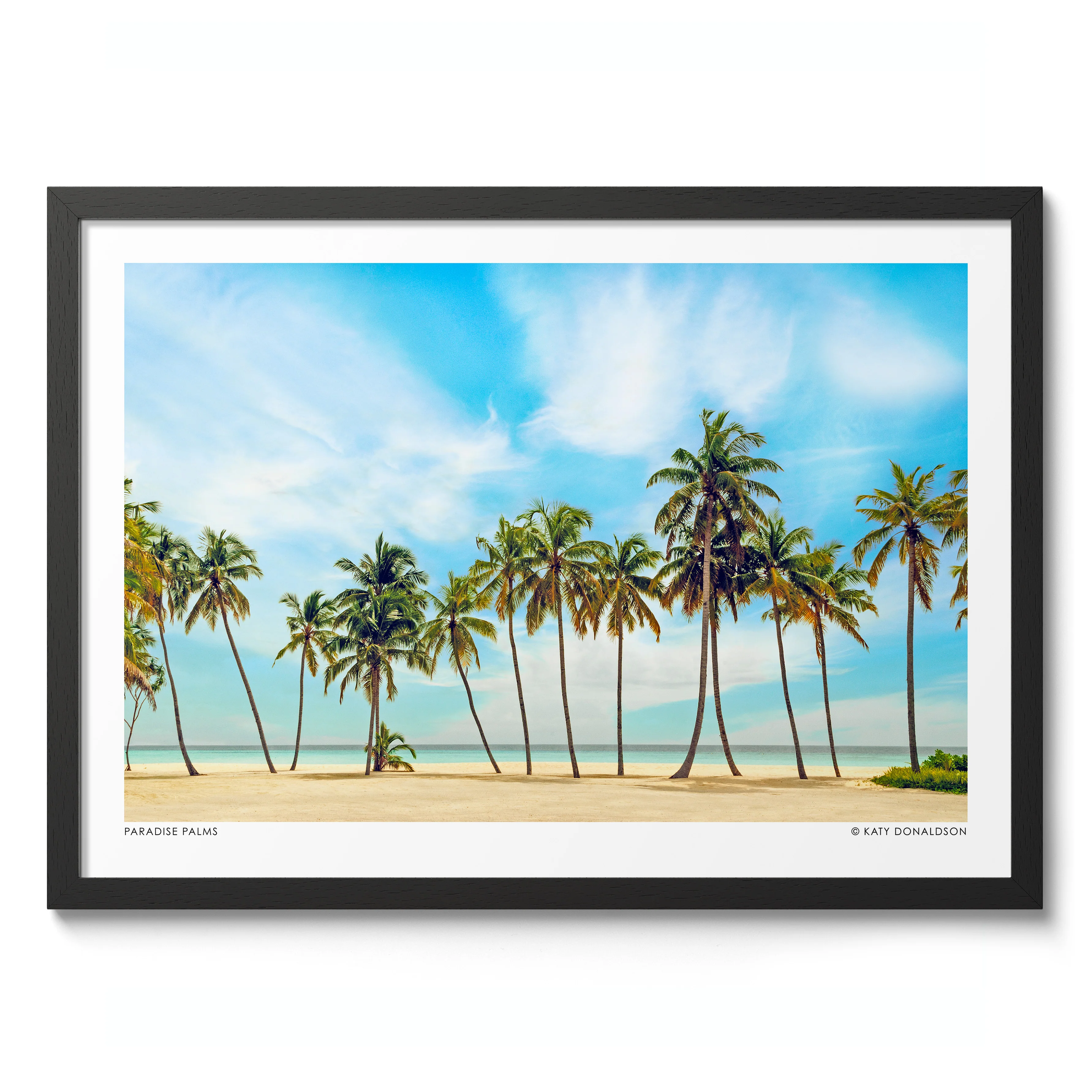 Paradise Palms - Image 2