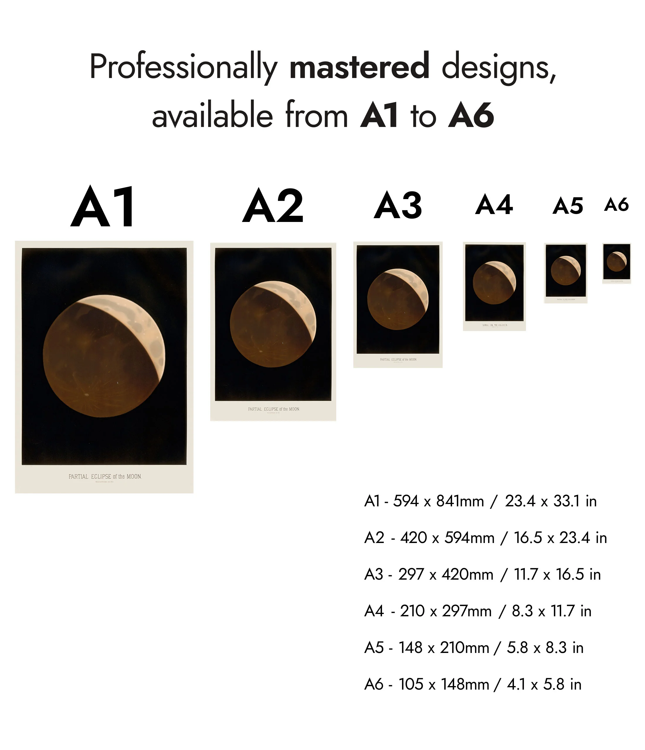 Partial Eclipse - Image 8