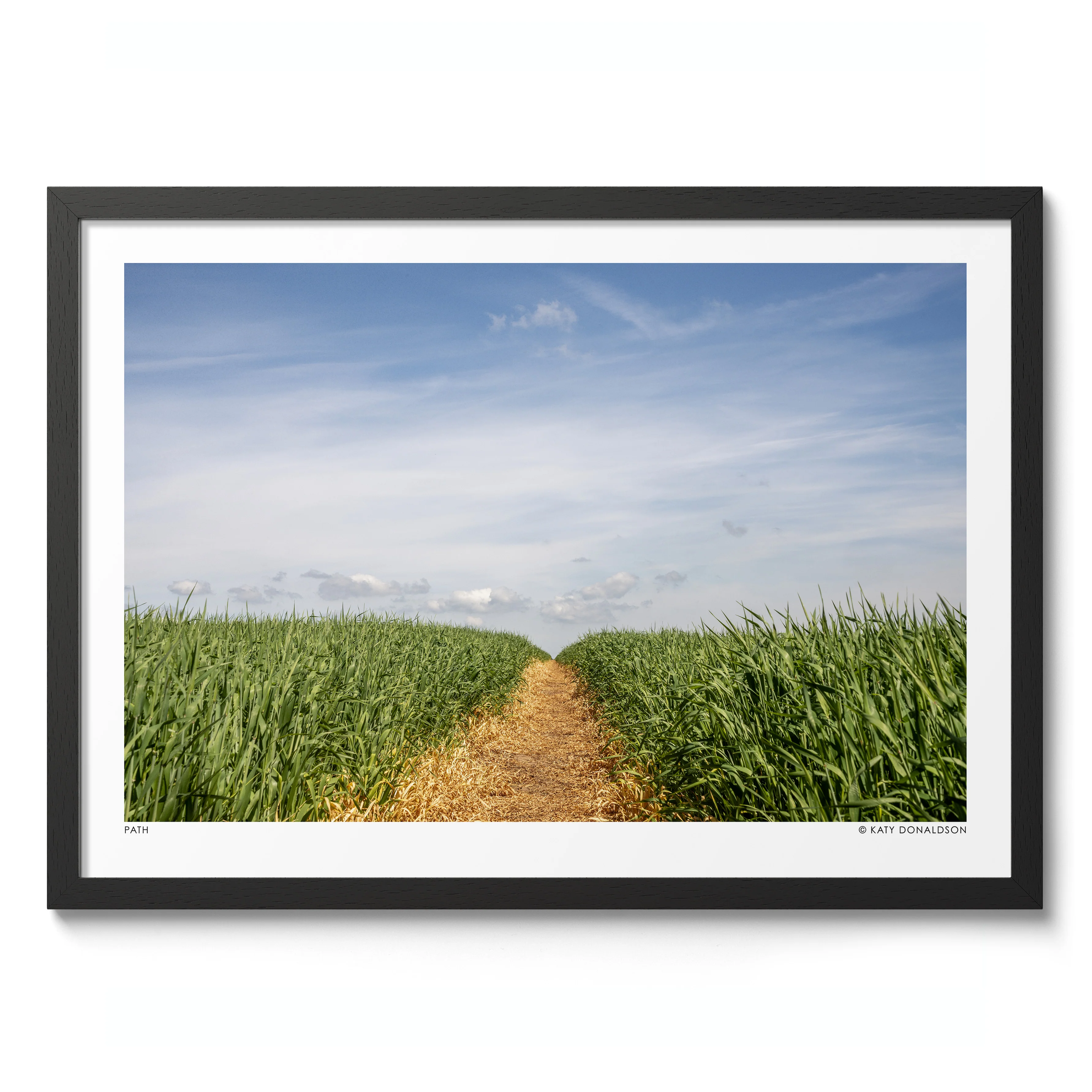 Path - Image 2