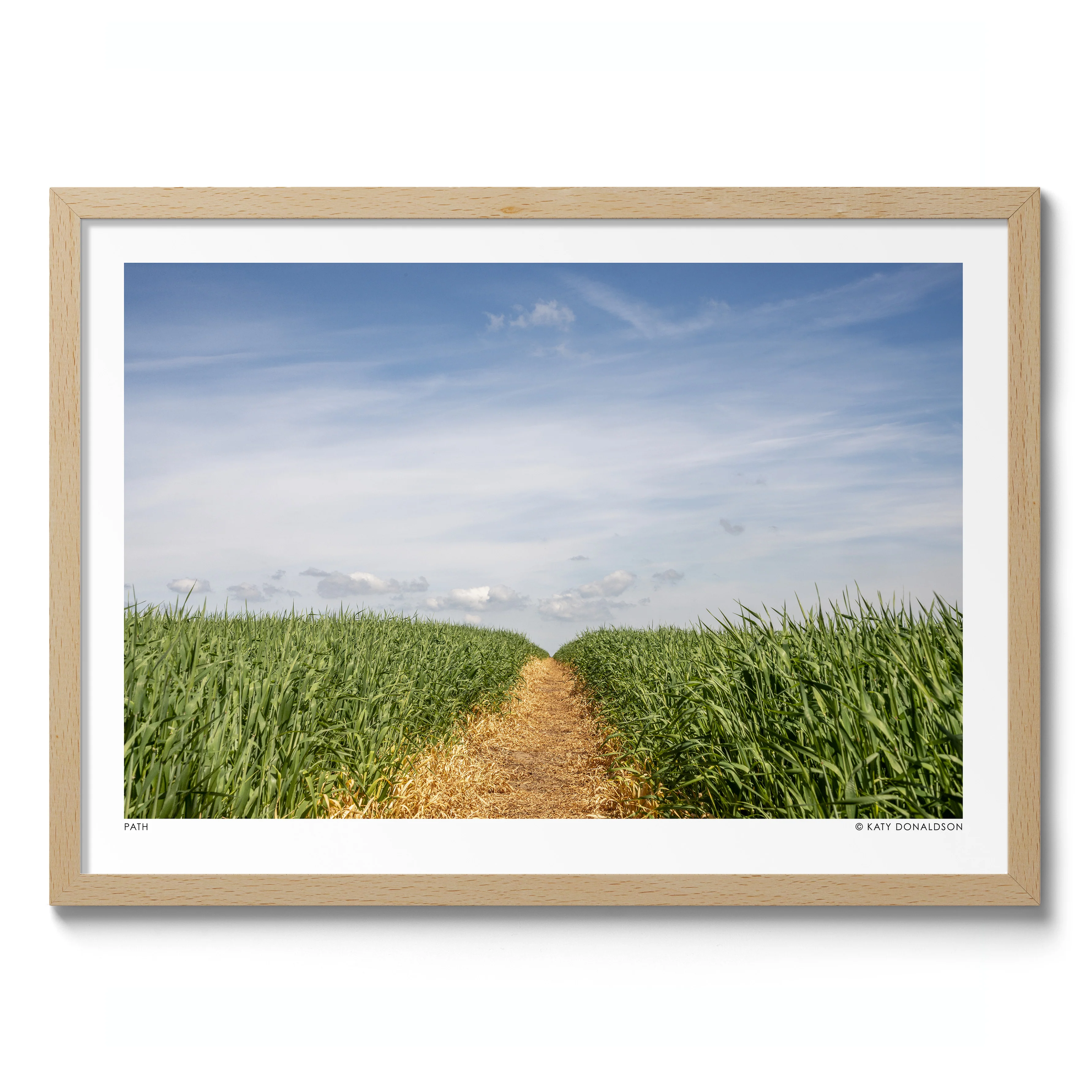 Path - Image 3