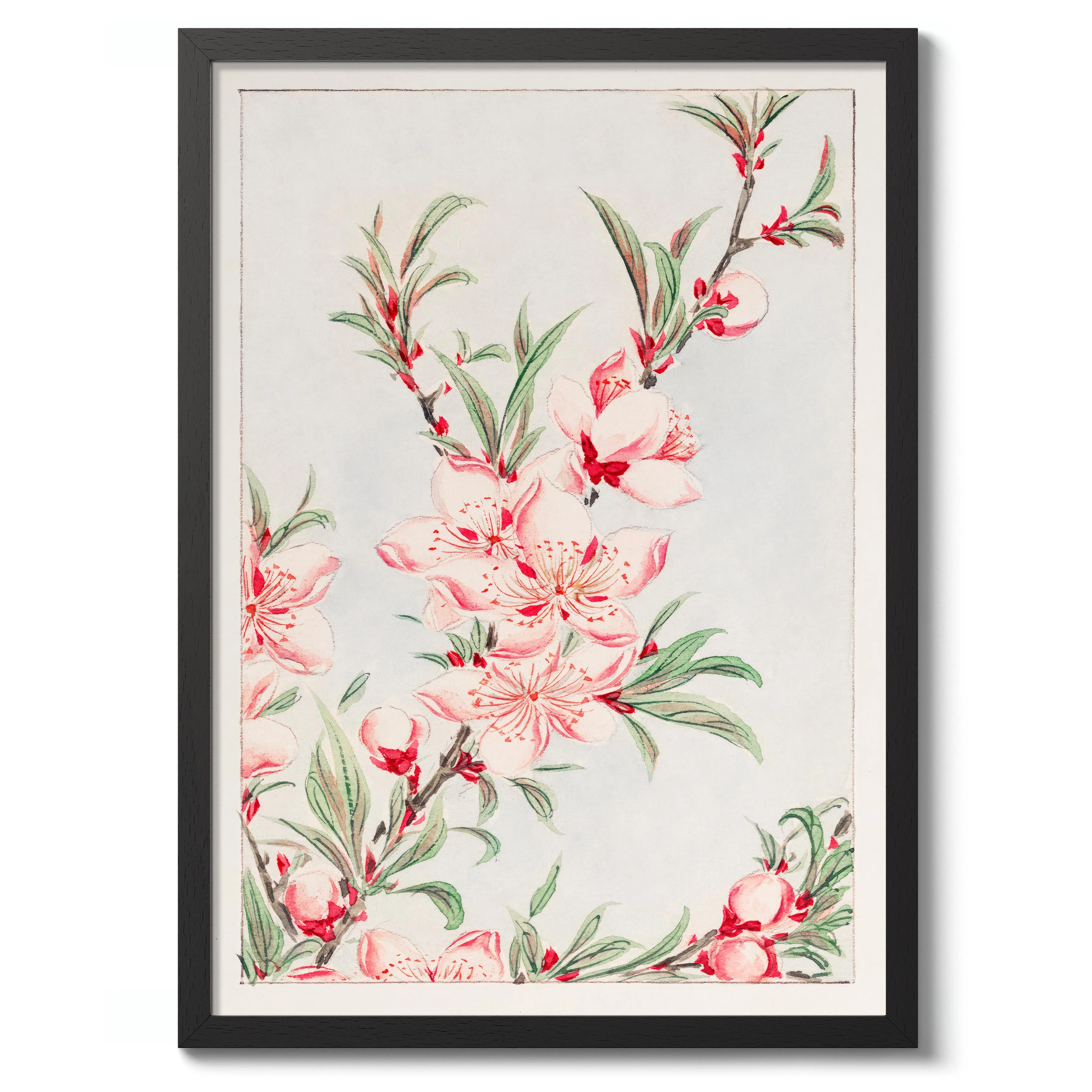 Peach Tree - Image 2